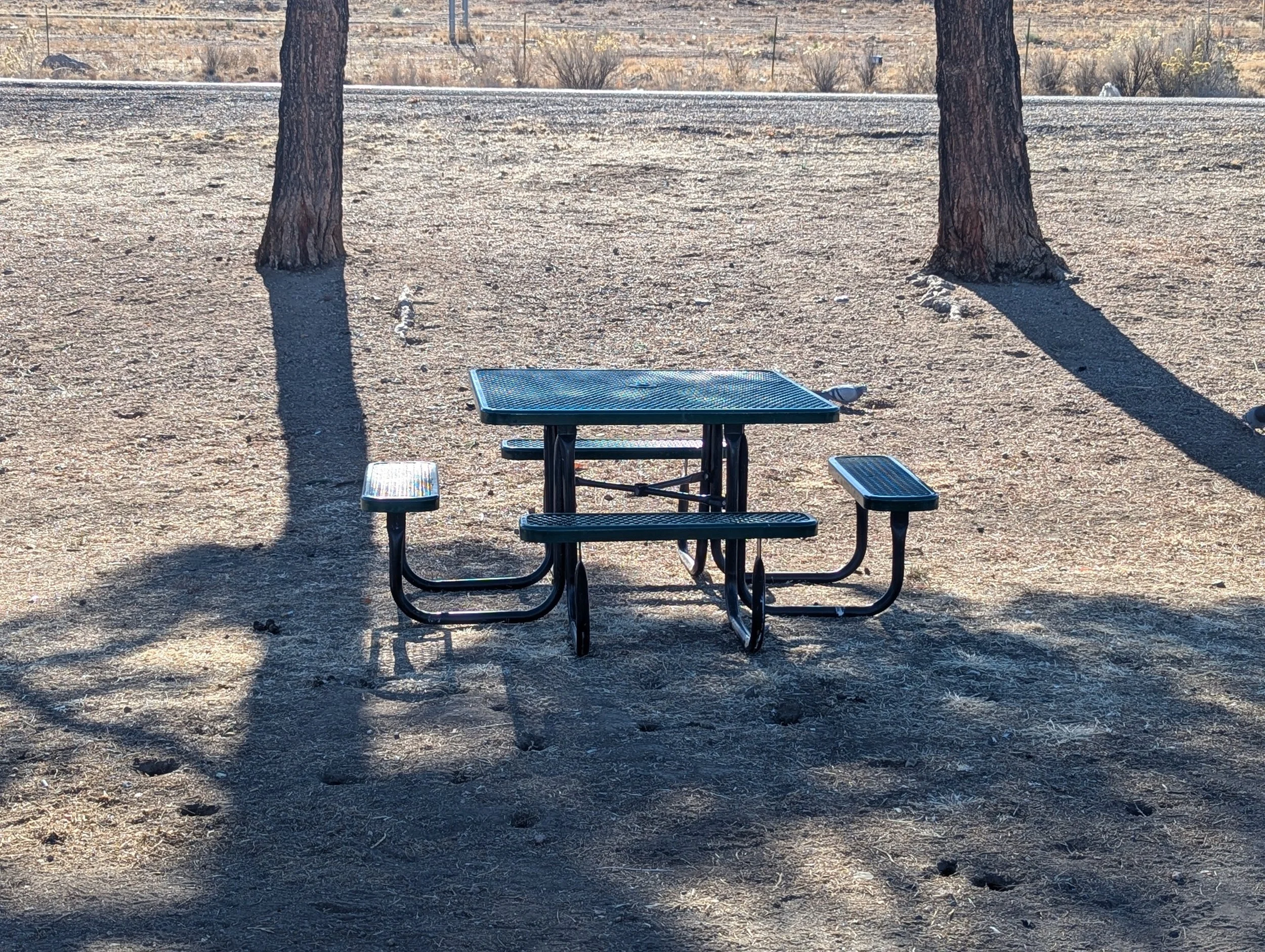 Sensitive Periods and Social Capital: Reframing Piagetian Lessons for Rural Childhood Development