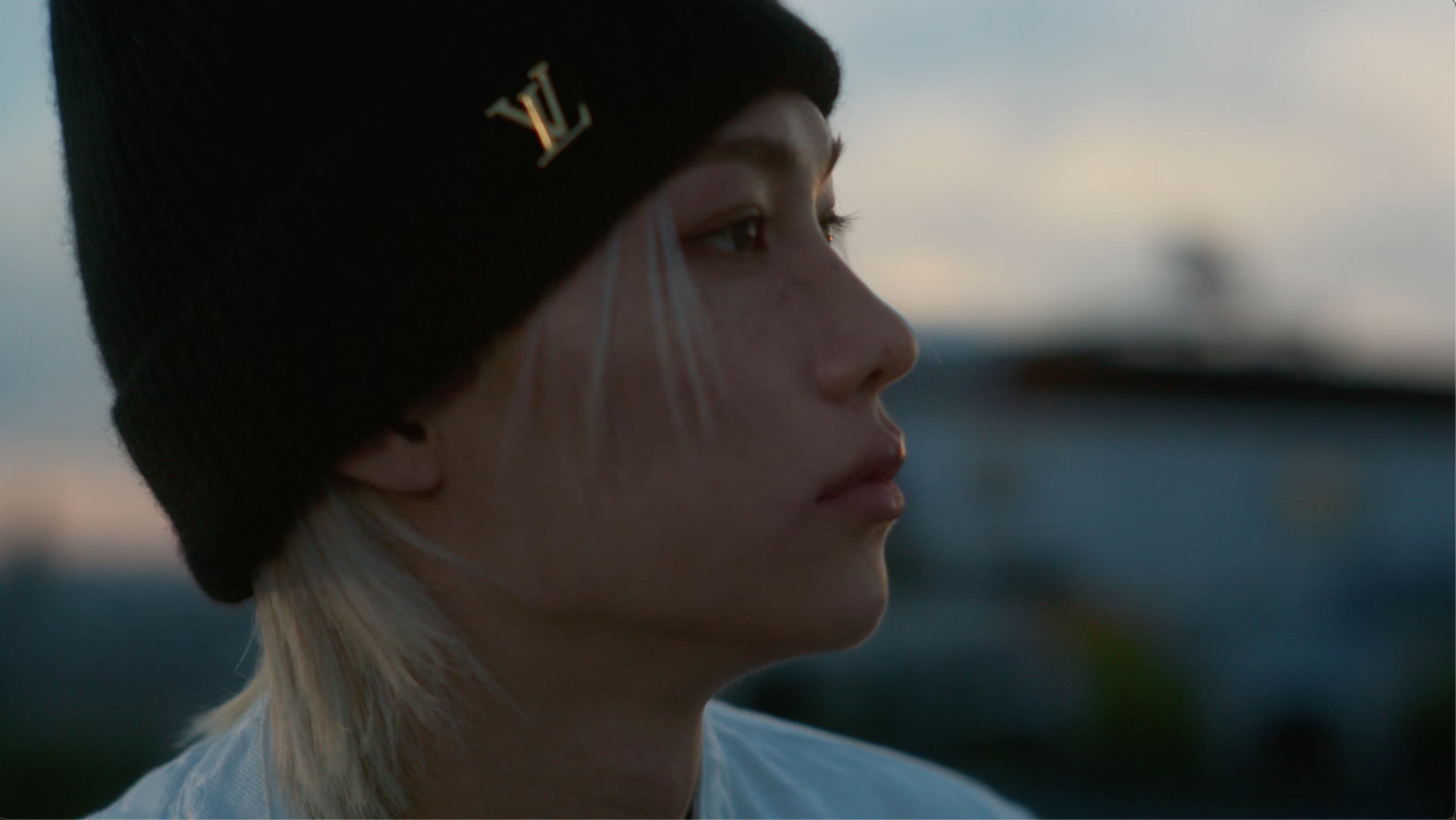 Louis Vuitton - Felix