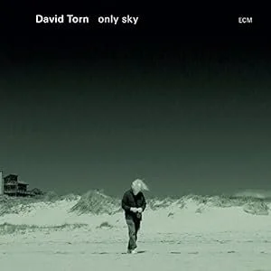 A person walking alone on a vast, barren landscape with mountains in the background under a dark sky, on the album cover titled 'Only Sky' by David Torn.