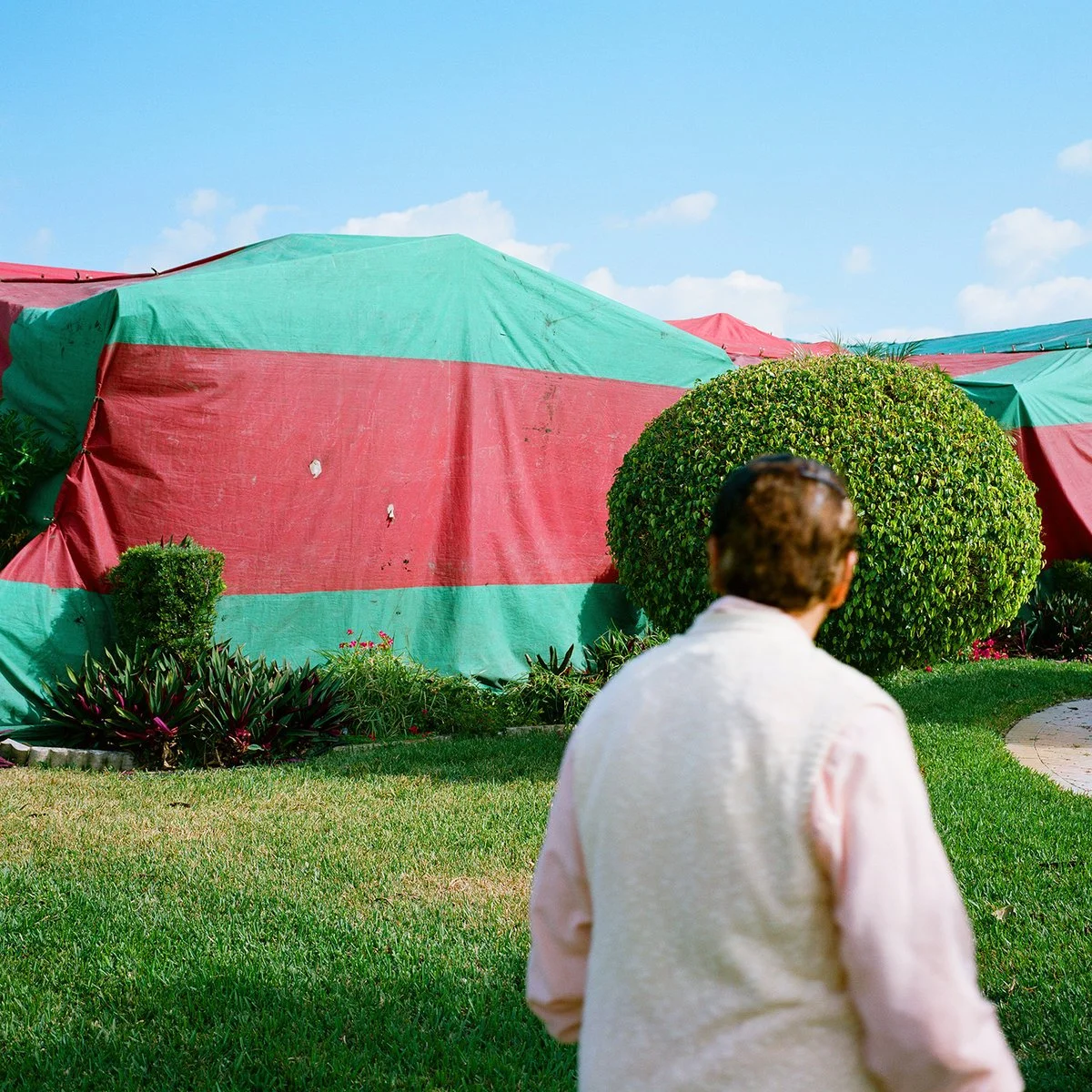 A person with short brown hair wearing a light pink shirt and a white vest, standing on a lush green lawn, looking toward a large green and red striped tent with a rounded bush and small plants nearby.