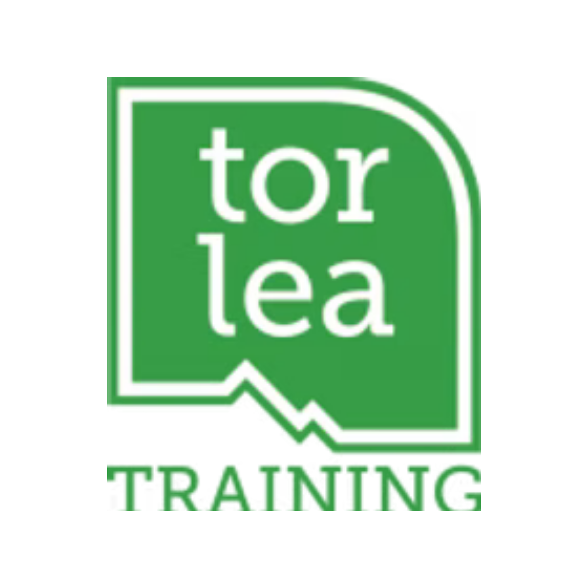 tor lea training logo