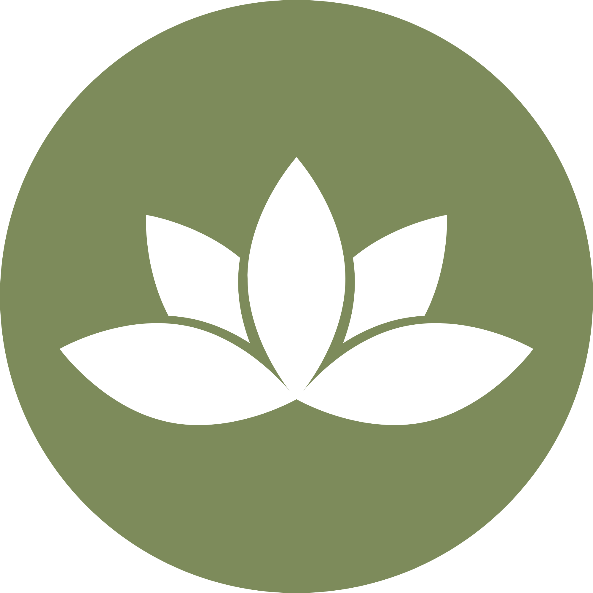 Close-up of a stylized green and white plant or flower icon on a dark background.
