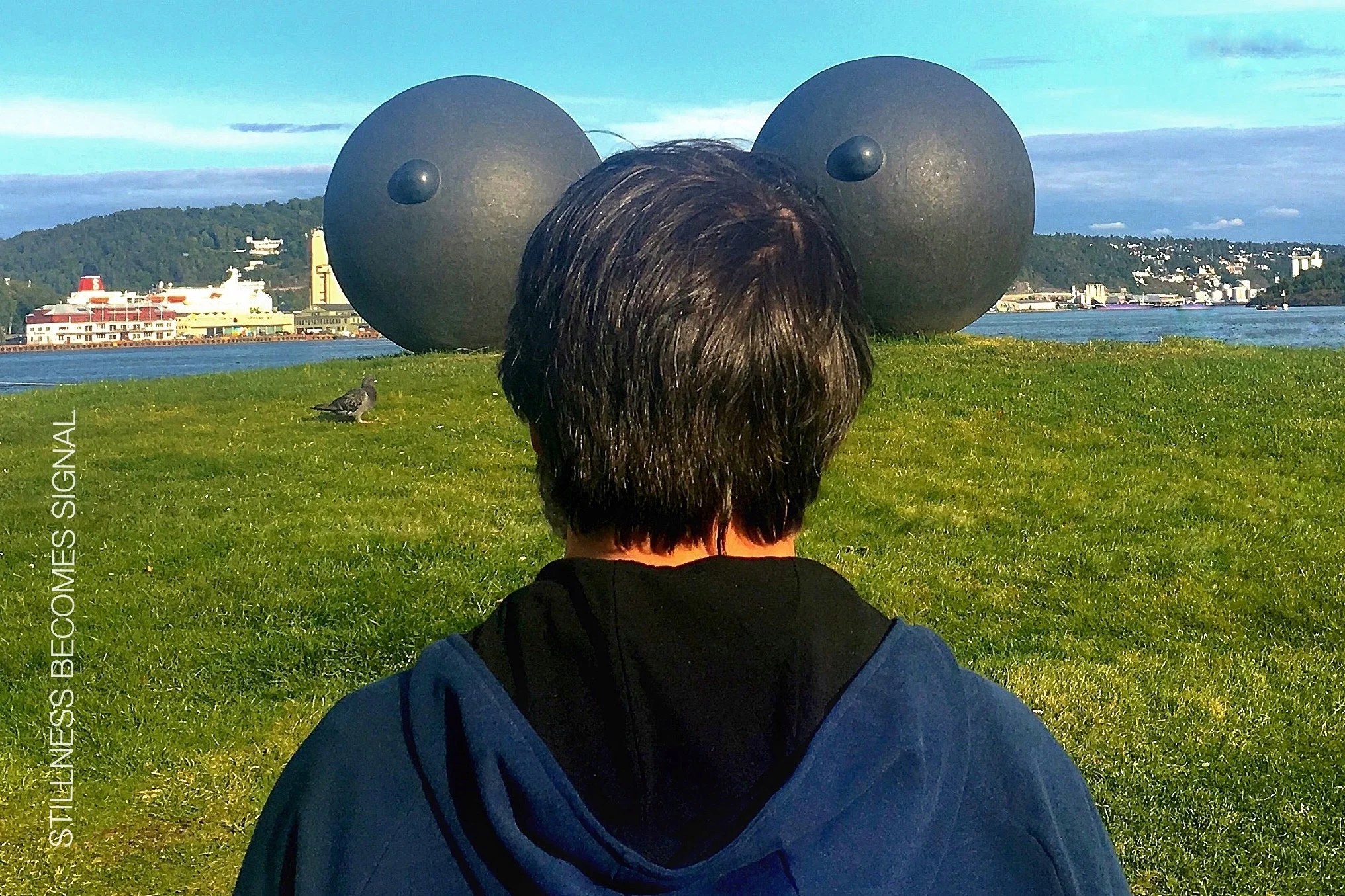 Stillness Becomes Signal