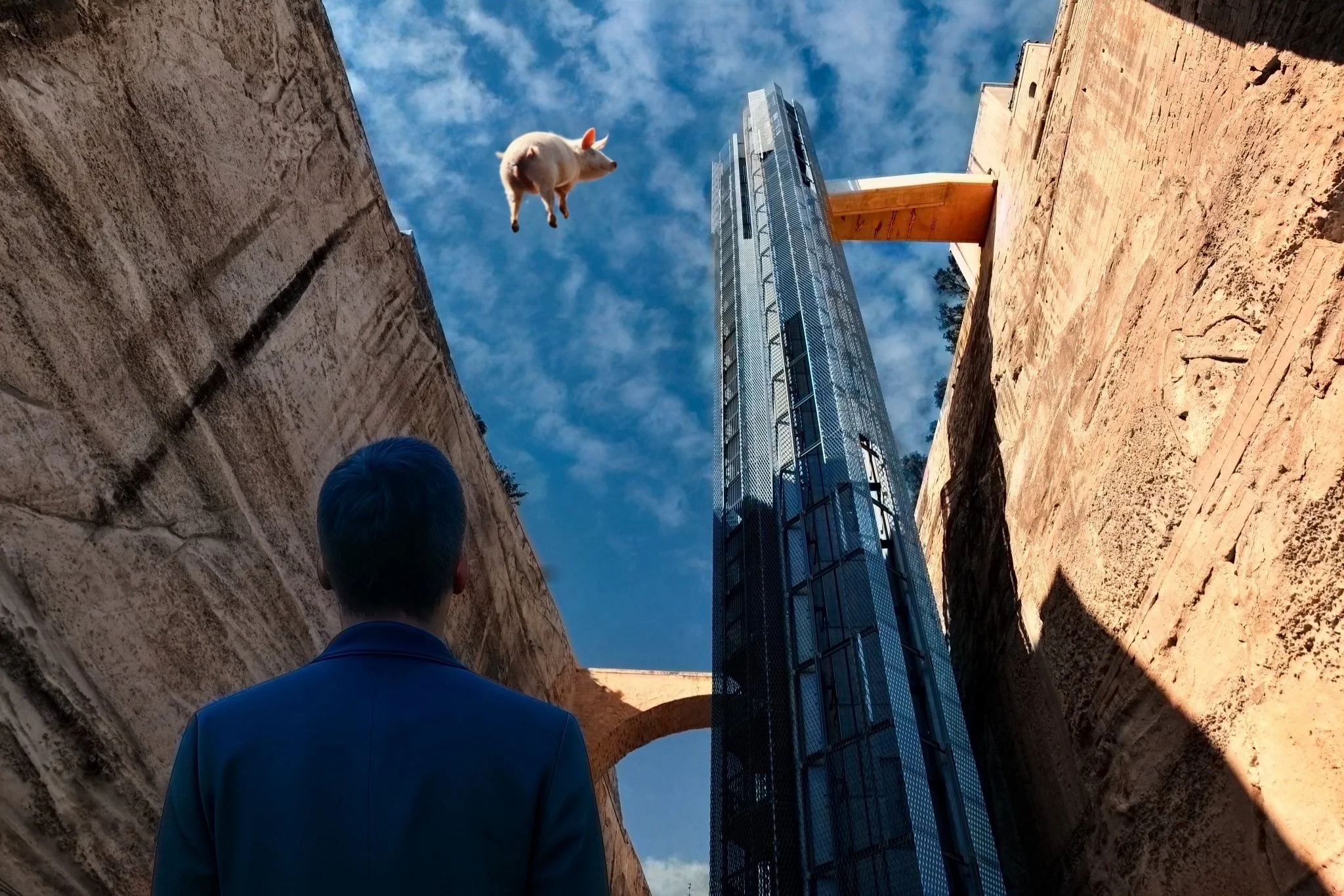 Livestock for the Sky