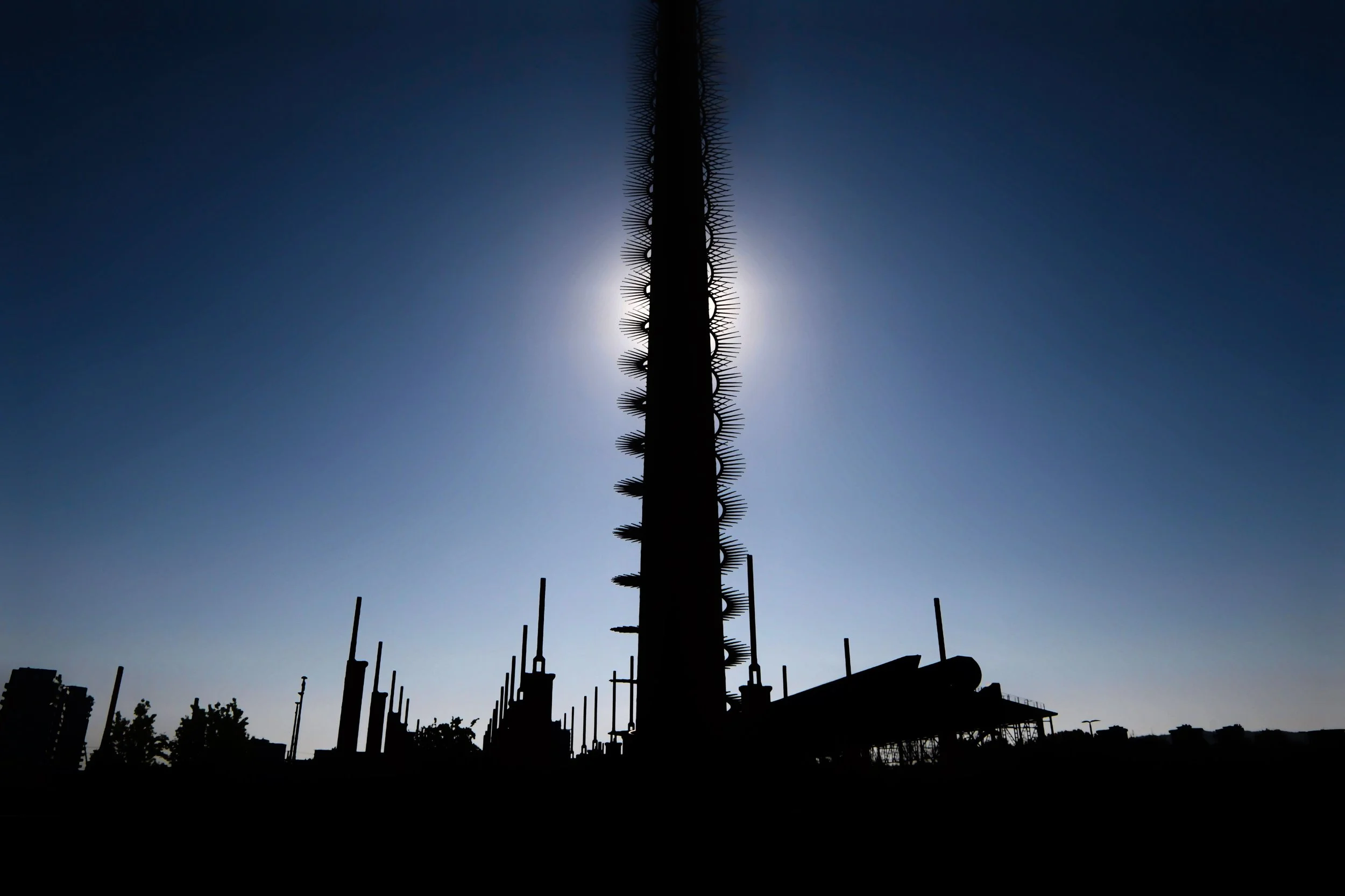 The Signal Standing