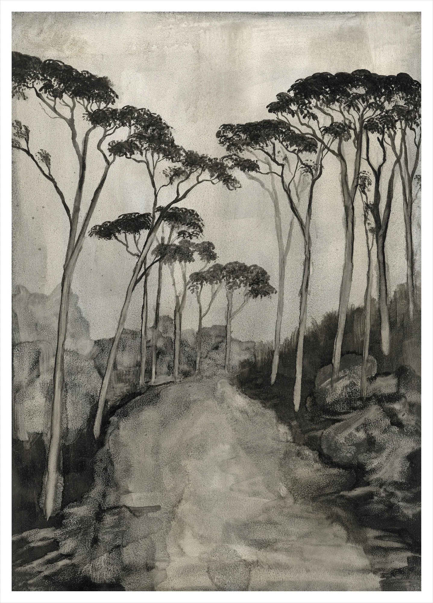 Web Kloof Road, Cape Town.jpg