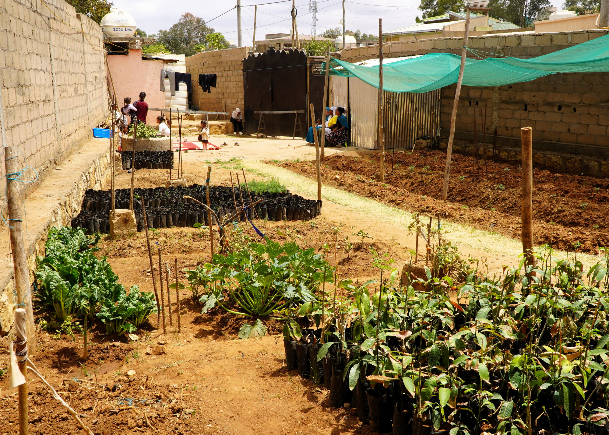 Compound grounds with a garden and children playing in the distance