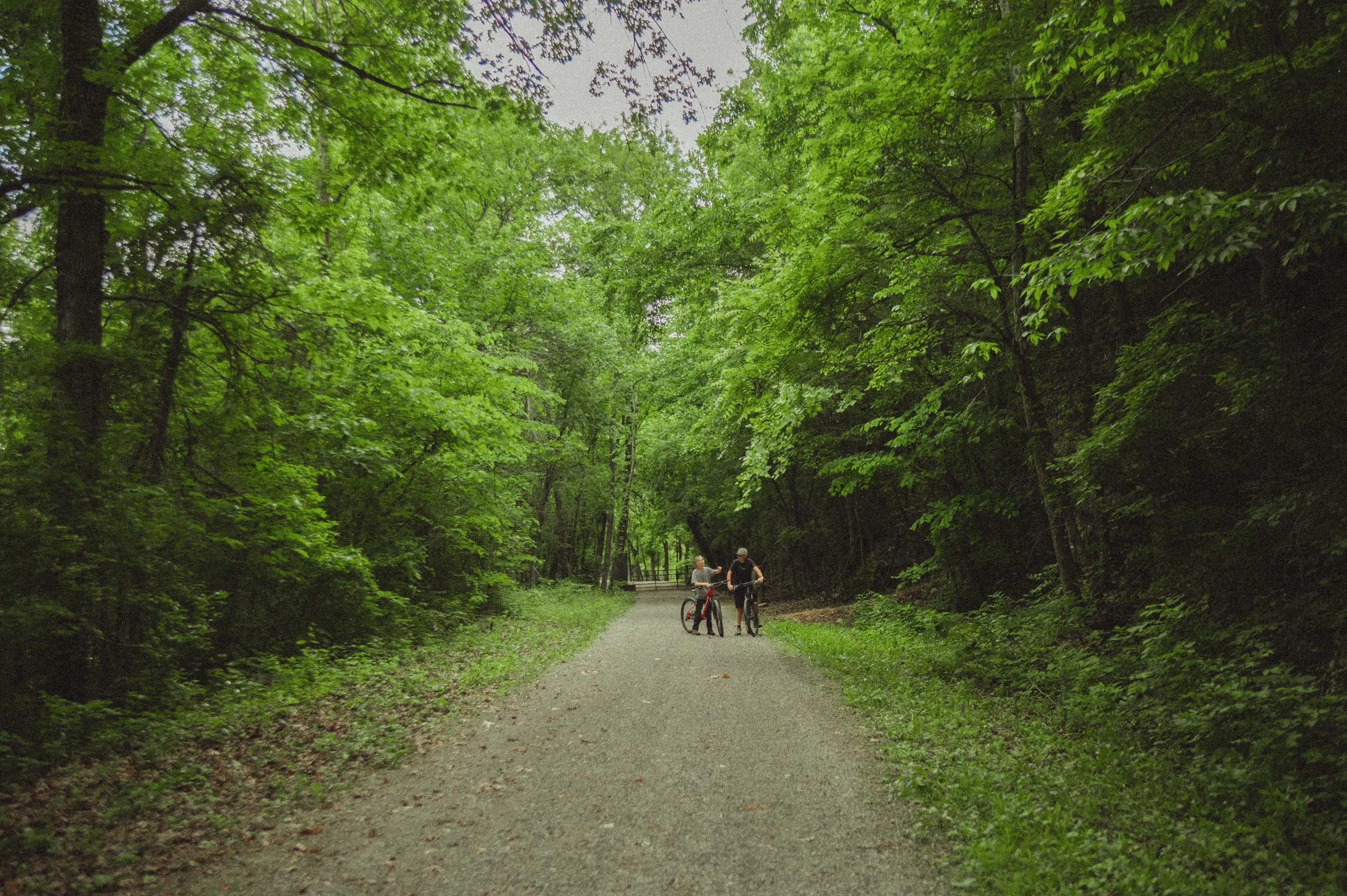 A forest trail with green trees overhead and two people walking their bikes on the path.