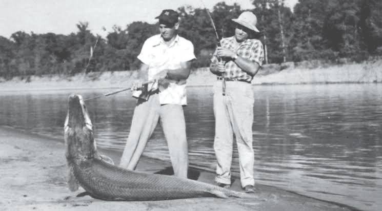The White River Monster &amp; Other Arkansas Legends Born on the Water