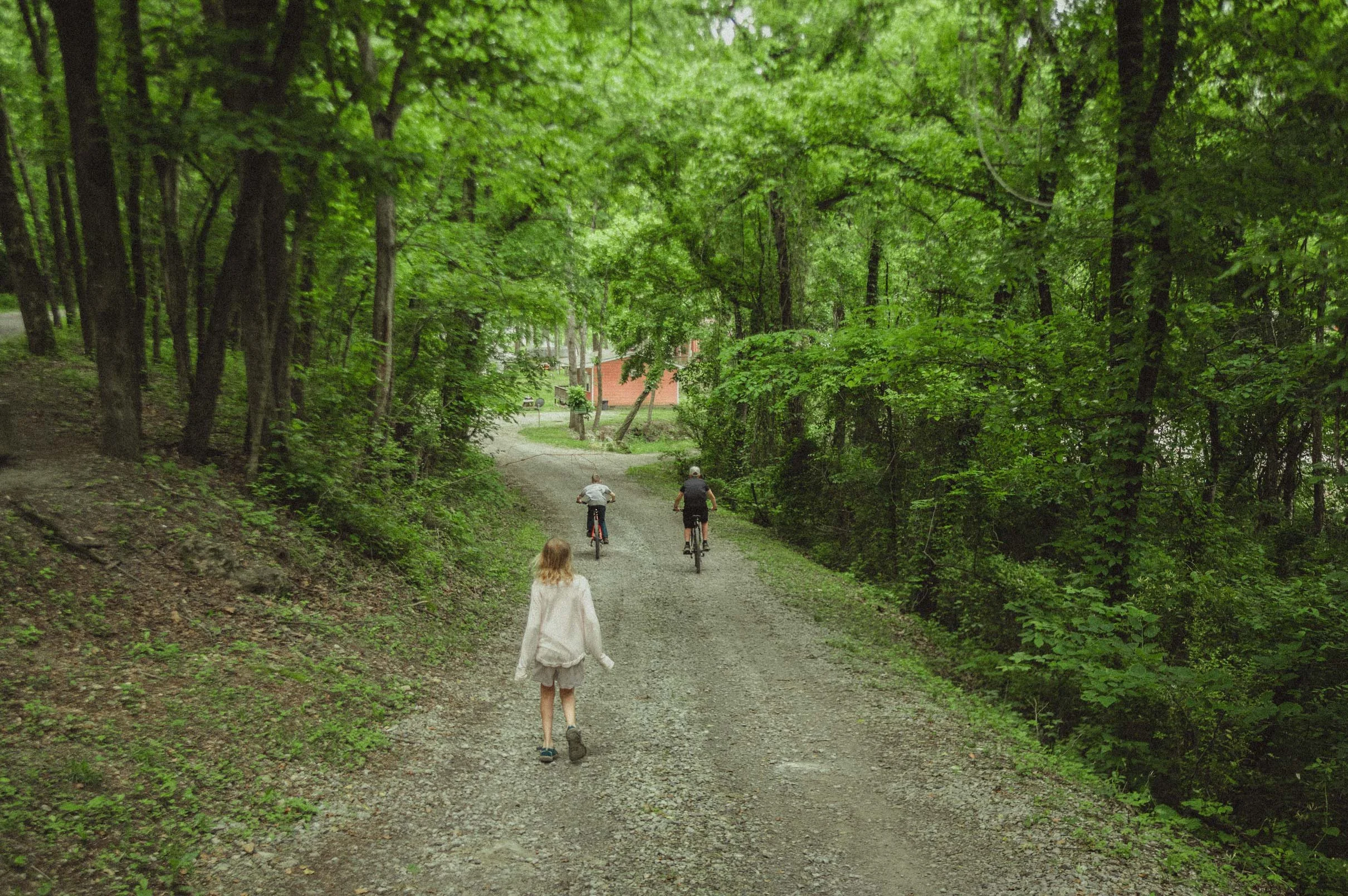 Three children walking and riding bikes along a gravel trail in a lush, green forest with dense foliage and trees. A house can be seen in the background.