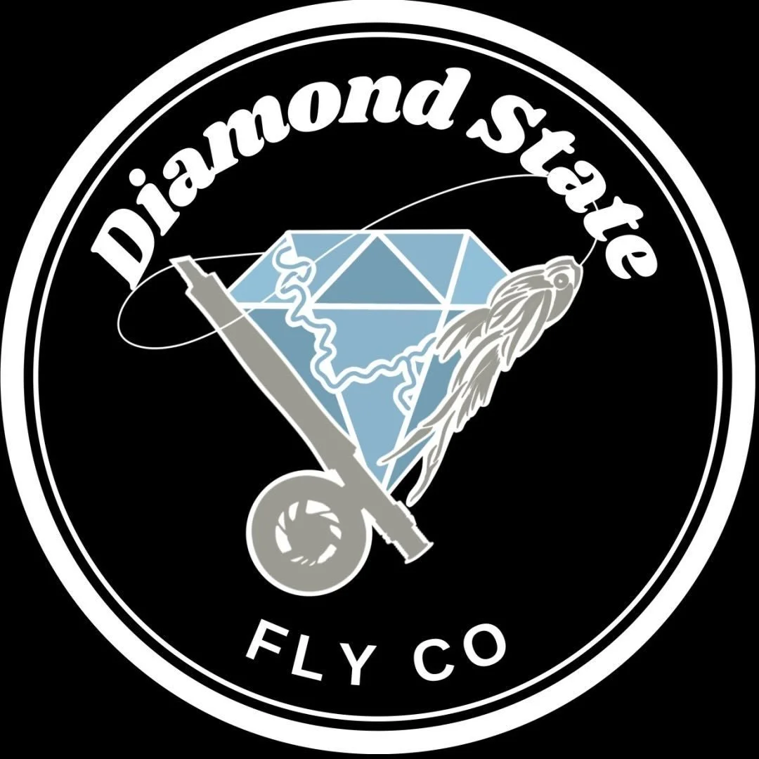 Logo for Diamond State Fly Co featuring a diamond, a fluttering butterfly, and a fly, with text "Diamond State" at the top and "Fly Co" at the bottom.