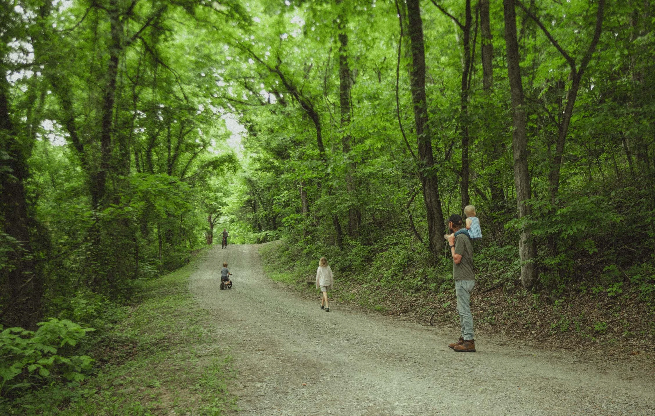 A family walking and playing on a forest trail with tall trees and dense green foliage.