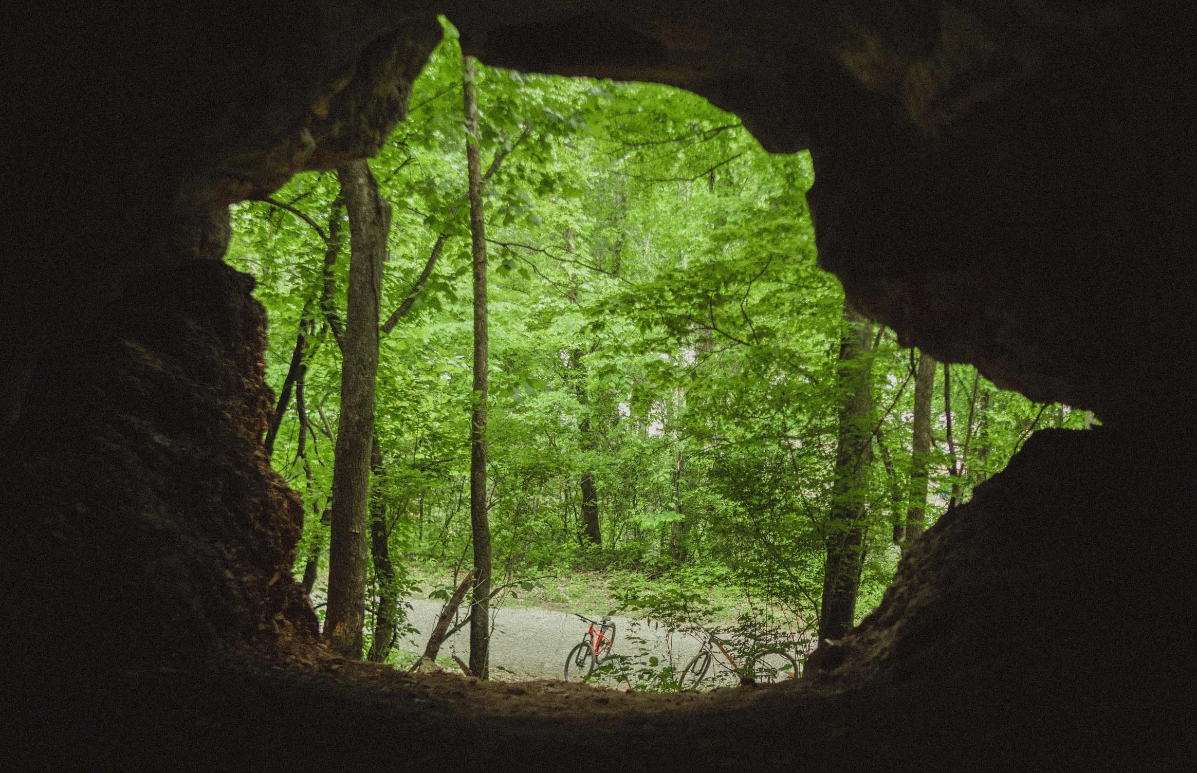 Looking through a hollow tree trunk at a forest scene with green leaves and two bicycles parked on a gray gravel trail.