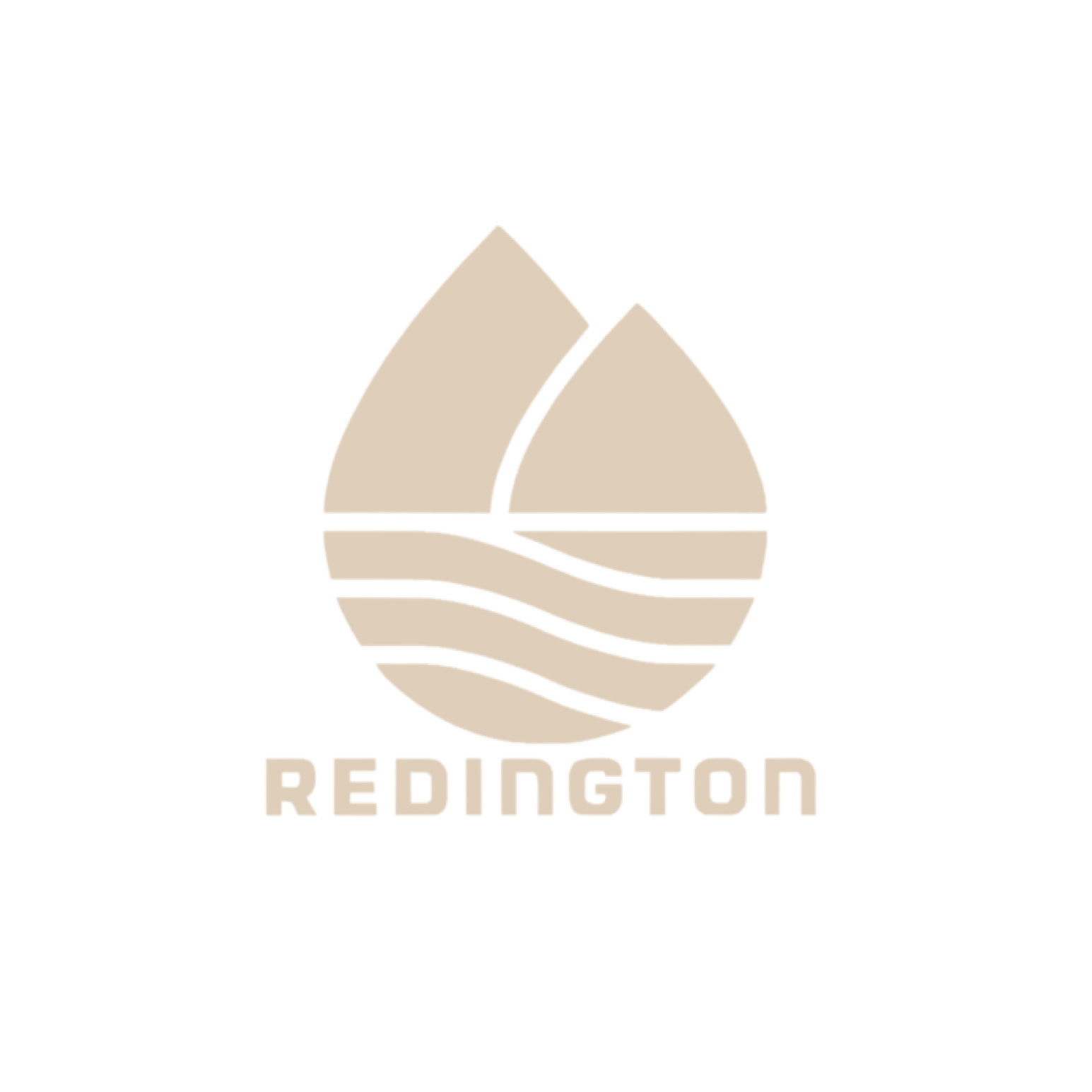 A logo featuring a stylized mountain and water design with the word 'Redington' underneath.
