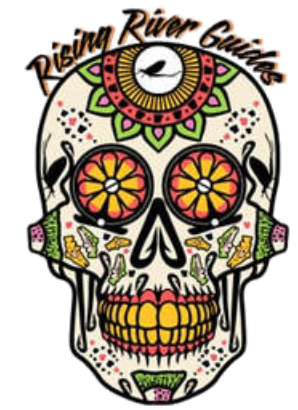 Colorful sugar skull decorated with floral patterns and a clock on its forehead, with the text 'Resilient Runners'.