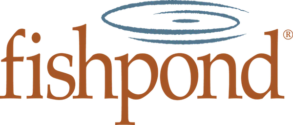 Close-up of a colorful logo with the word 'Dishpond' in brown and orange letters, with a blue ripple graphic above.