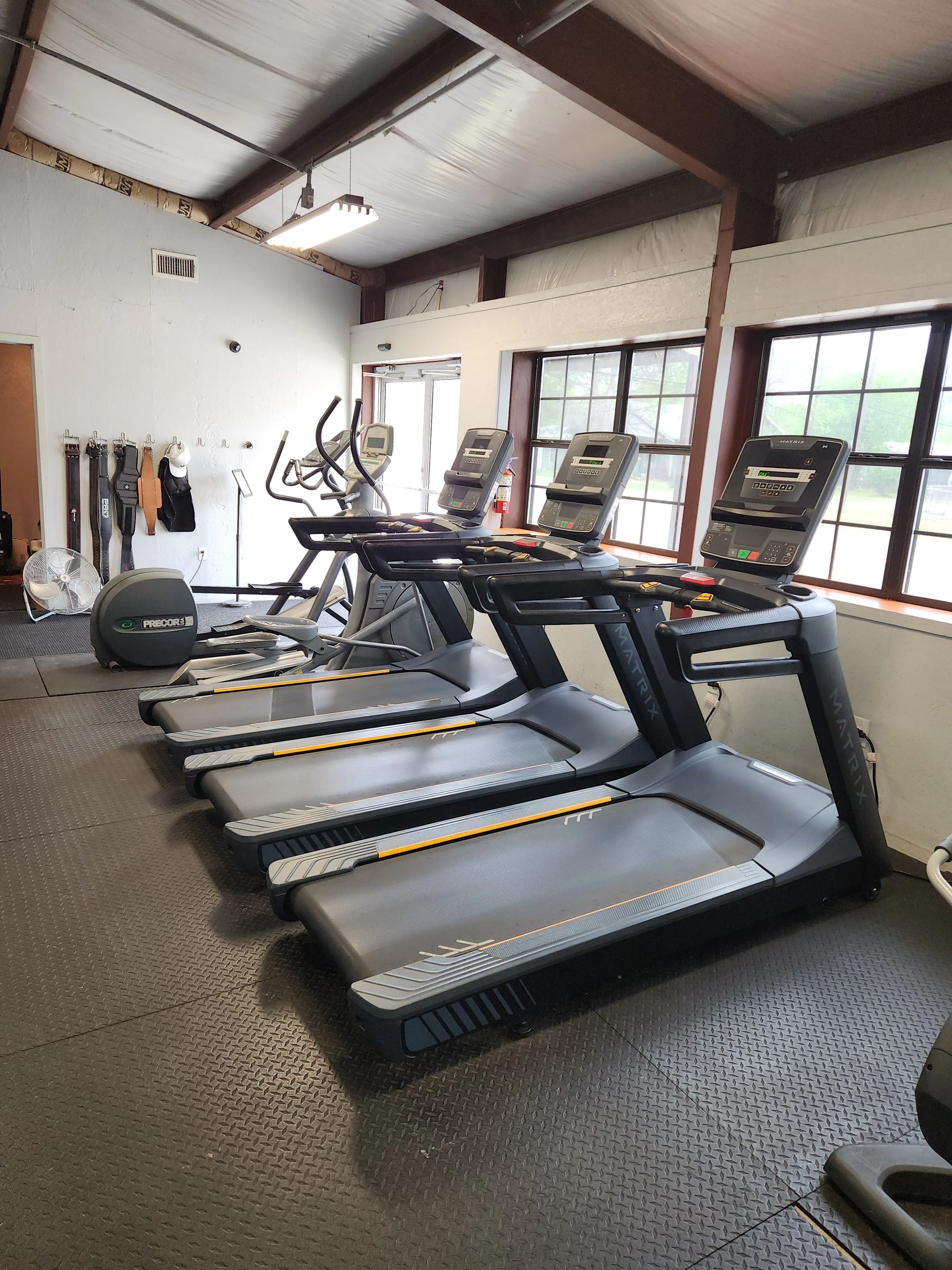 Interior of a gym with four treadmills lined up facing large windows, with elliptical machines behind them, a fan, and exercise straps hanging on the wall.