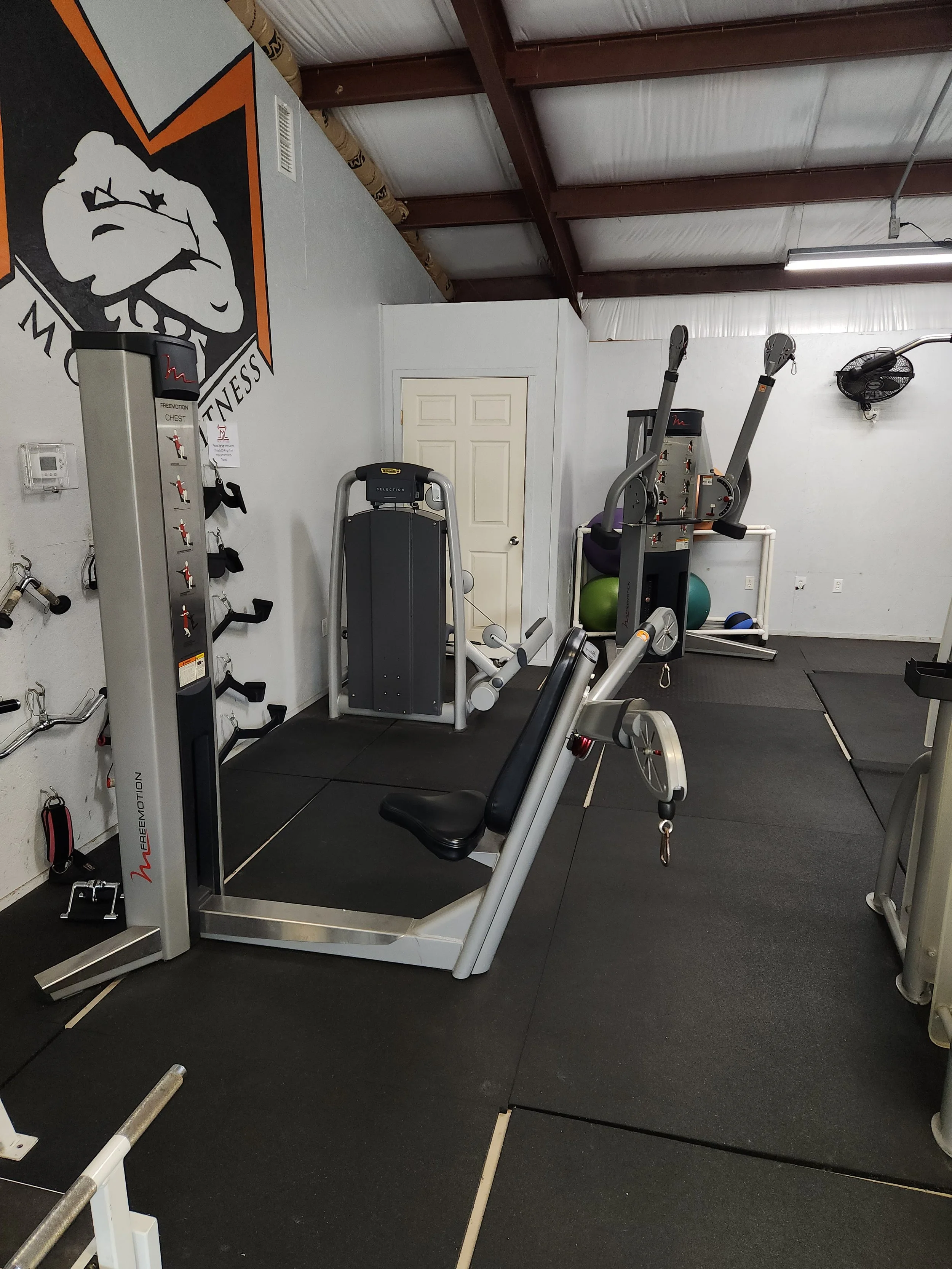 Interior view of a gym with various exercise equipment including a seated leg curl machine, a torso rotation machine, a small wall-mounted fan, and a rack of colorful exercise balls. The wall on the left has a large Kingdom of Tennessee logo, and the