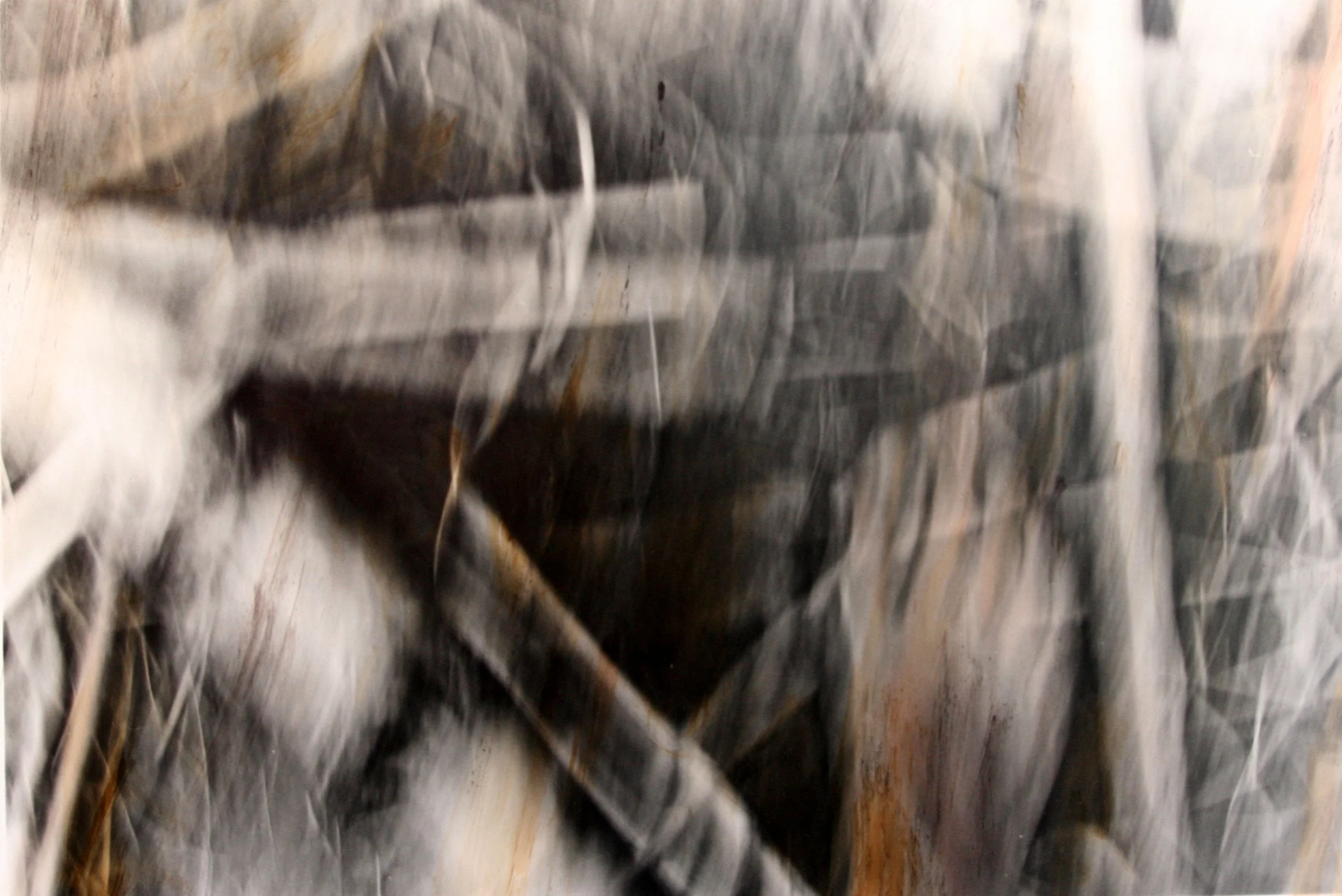 Serie Run 4, gemengde techniek, fotografie, acryl, notenbolster (2007).jpg
