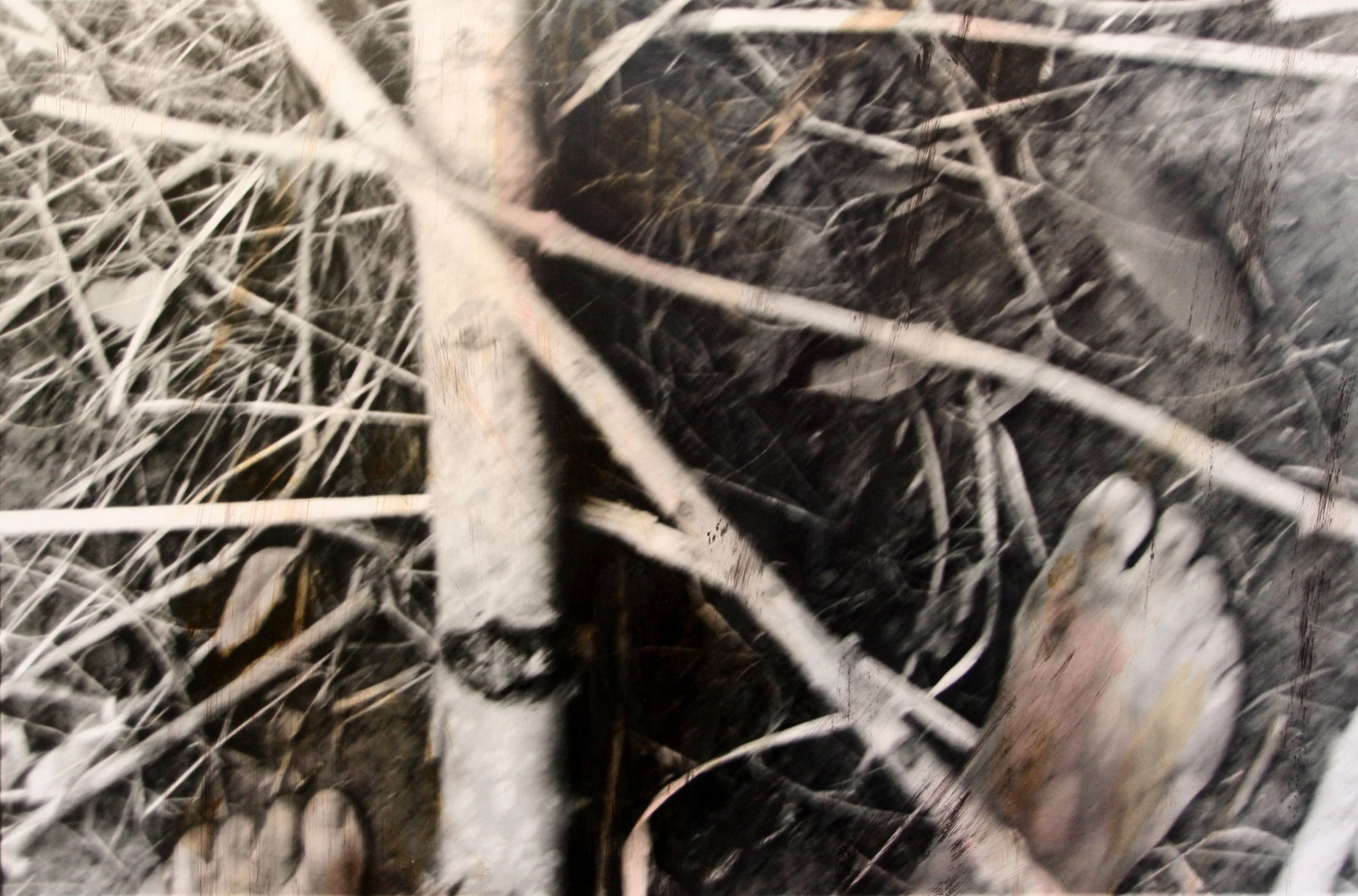 Serie Run 1, gemengde techniek, fotografie, acryl, notenbolster (2007).jpg