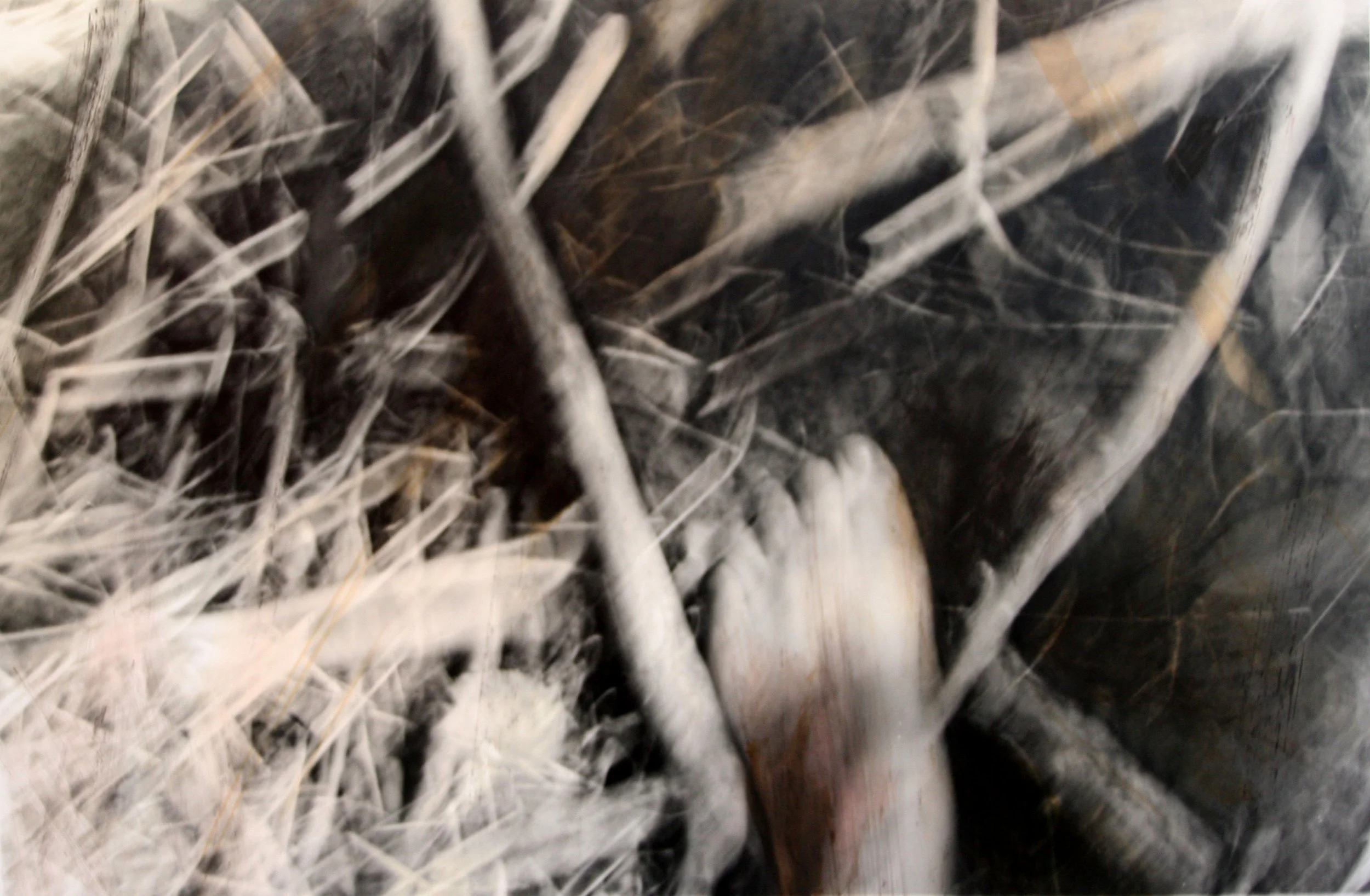 Serie Run 3, gemengde techniek, fotografie, acryl, notenbolster (2007).jpg