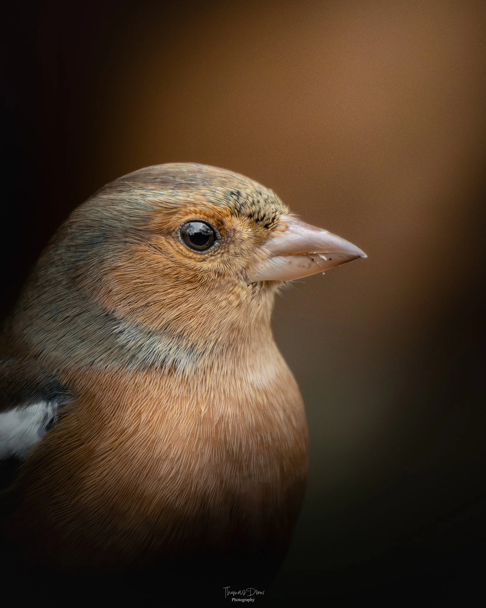 DSC_3800.jpg