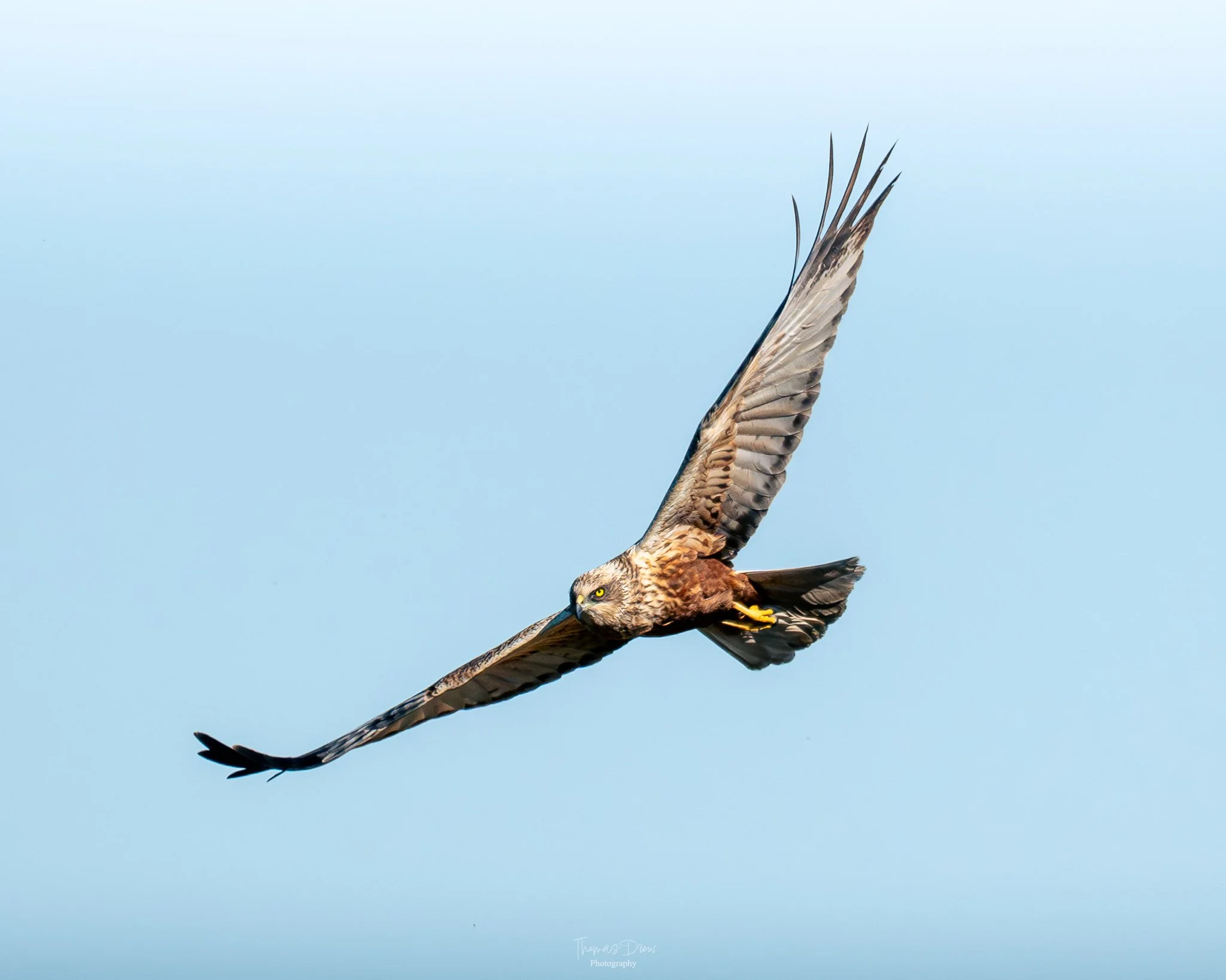 DSC_7074.jpg