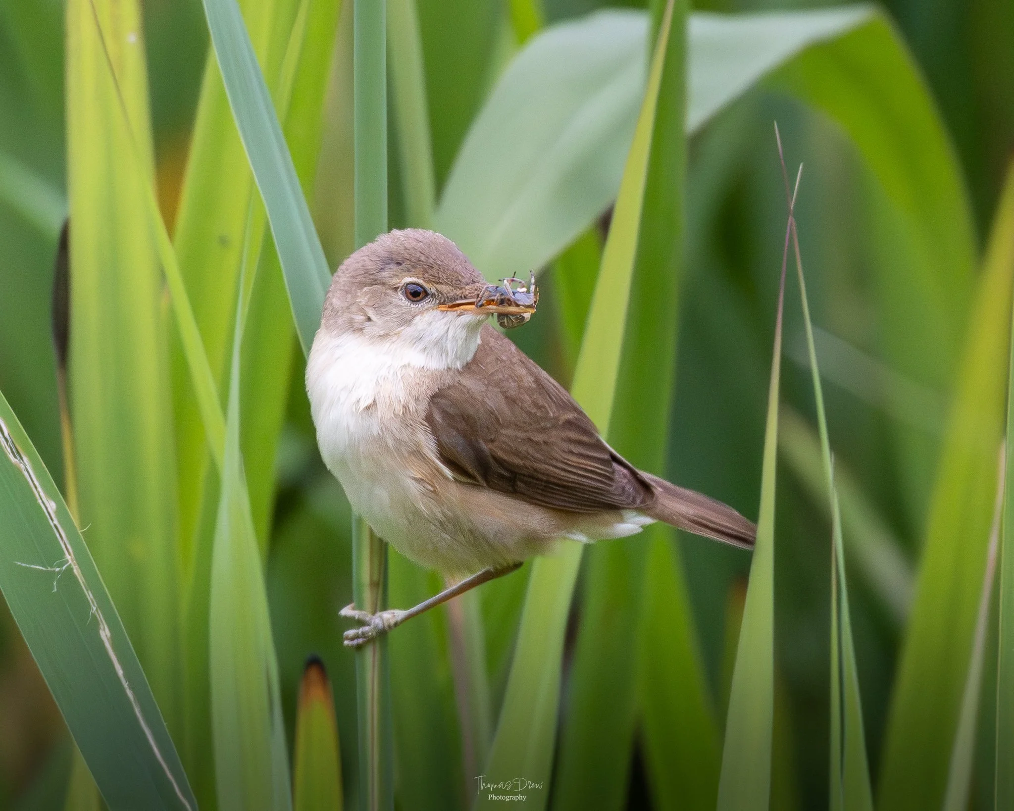 DSC_0366-2.jpg
