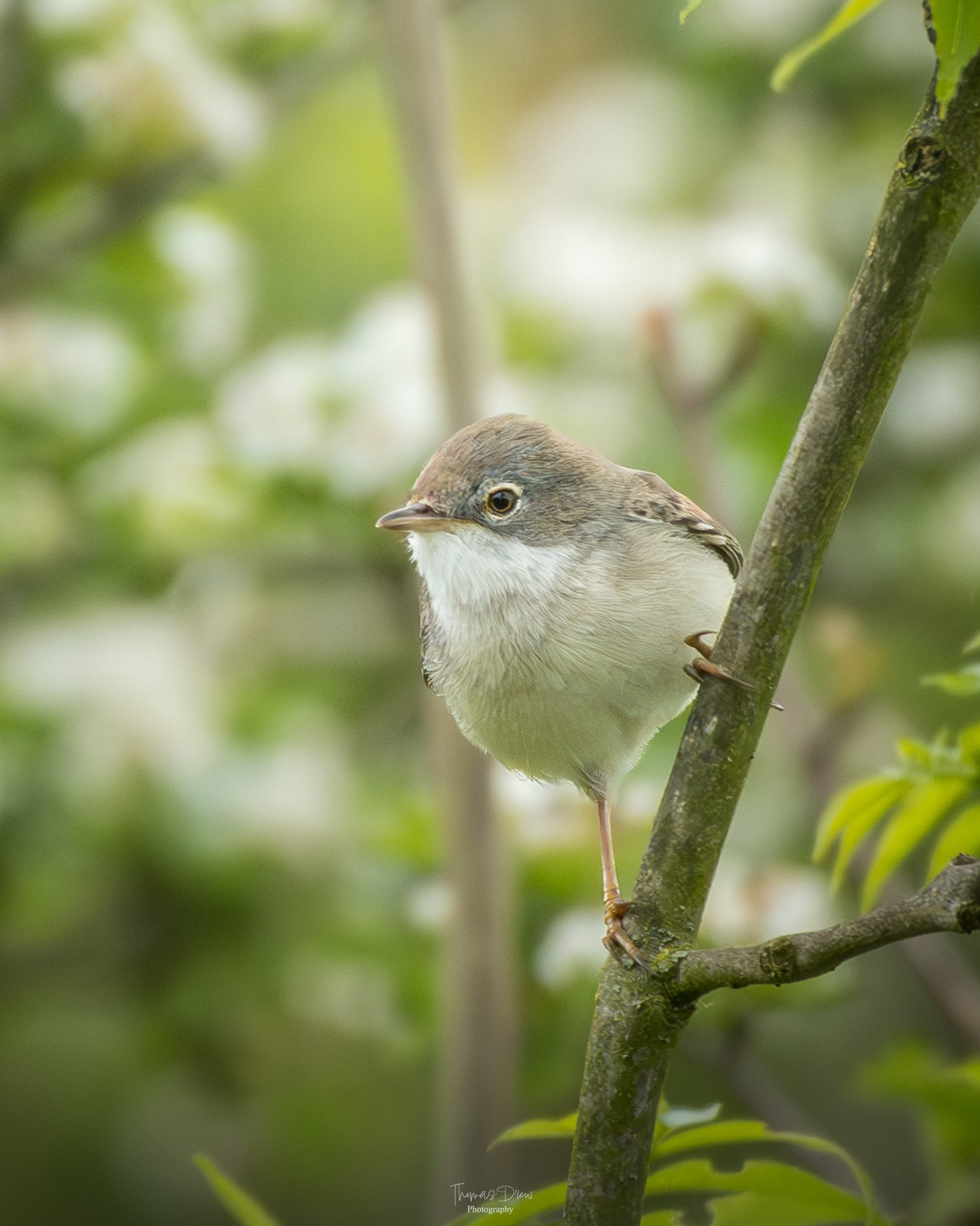 DSC_8879.jpg