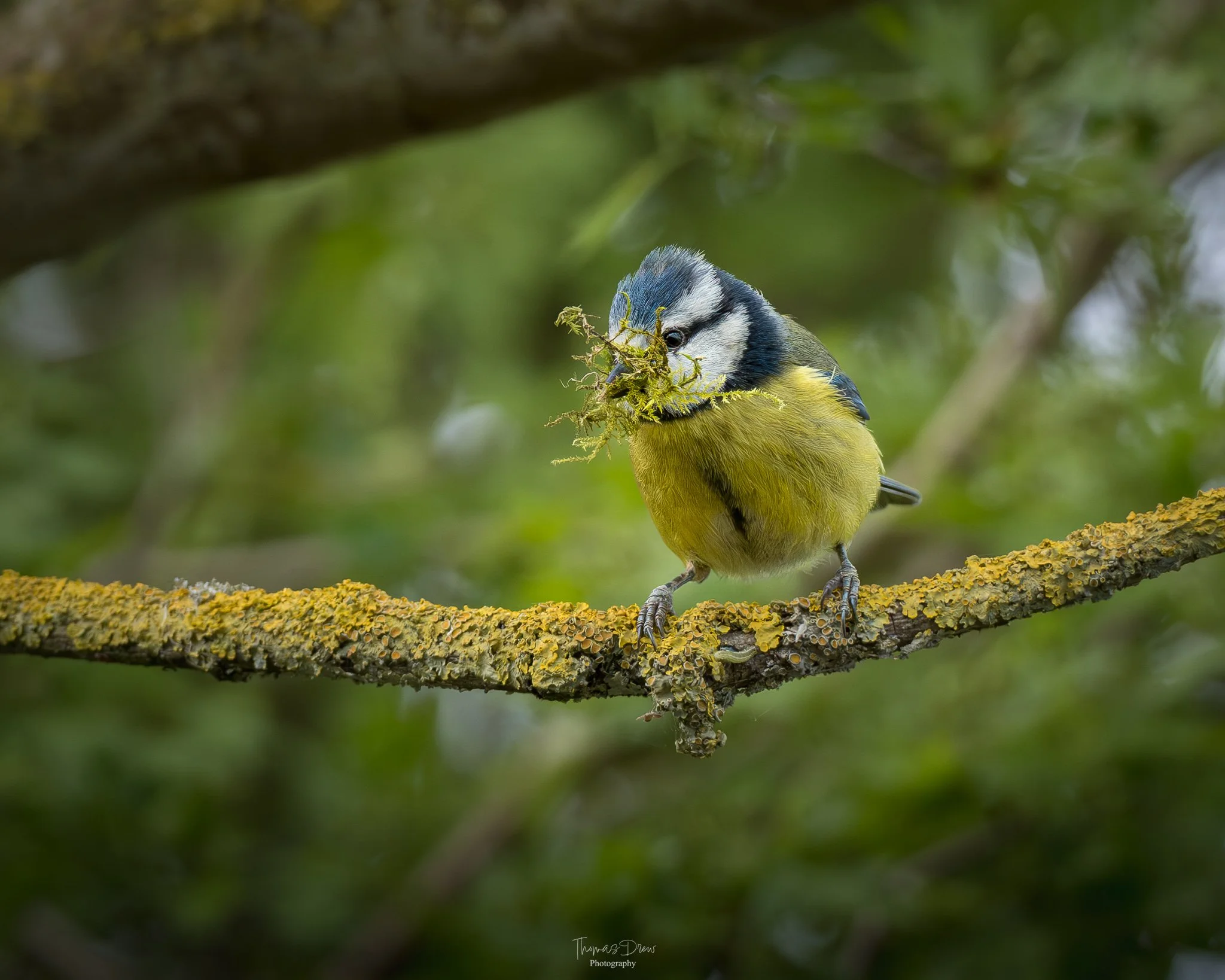 DSC_2503-2.jpg
