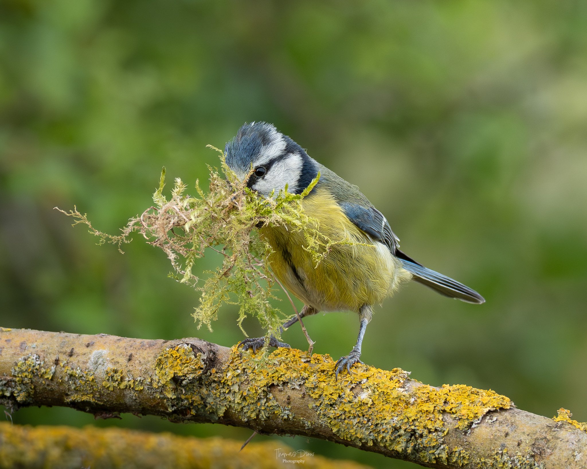 DSC_2447.jpg