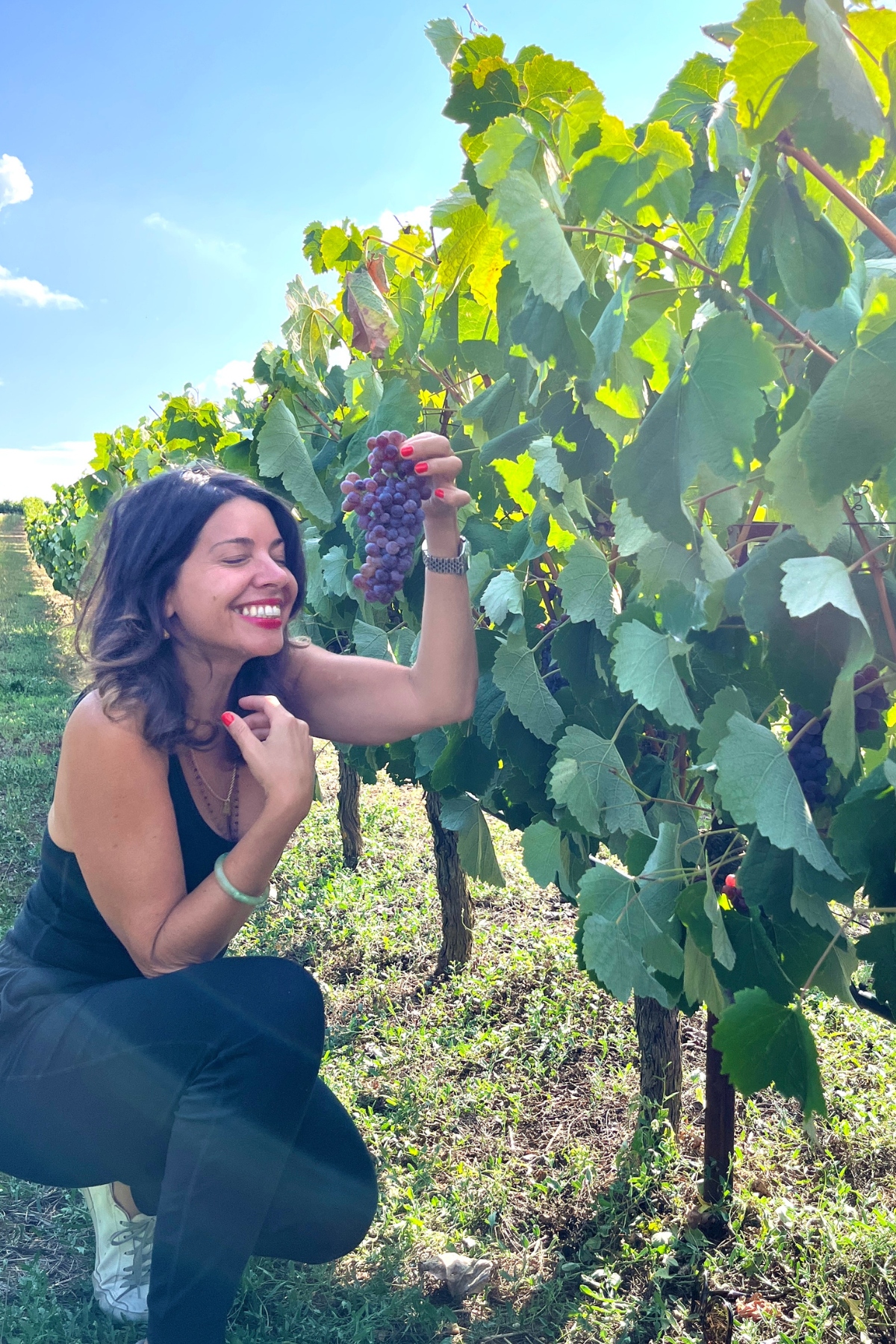 DIVINO_wine experiences_tastefully_newsletter1.png