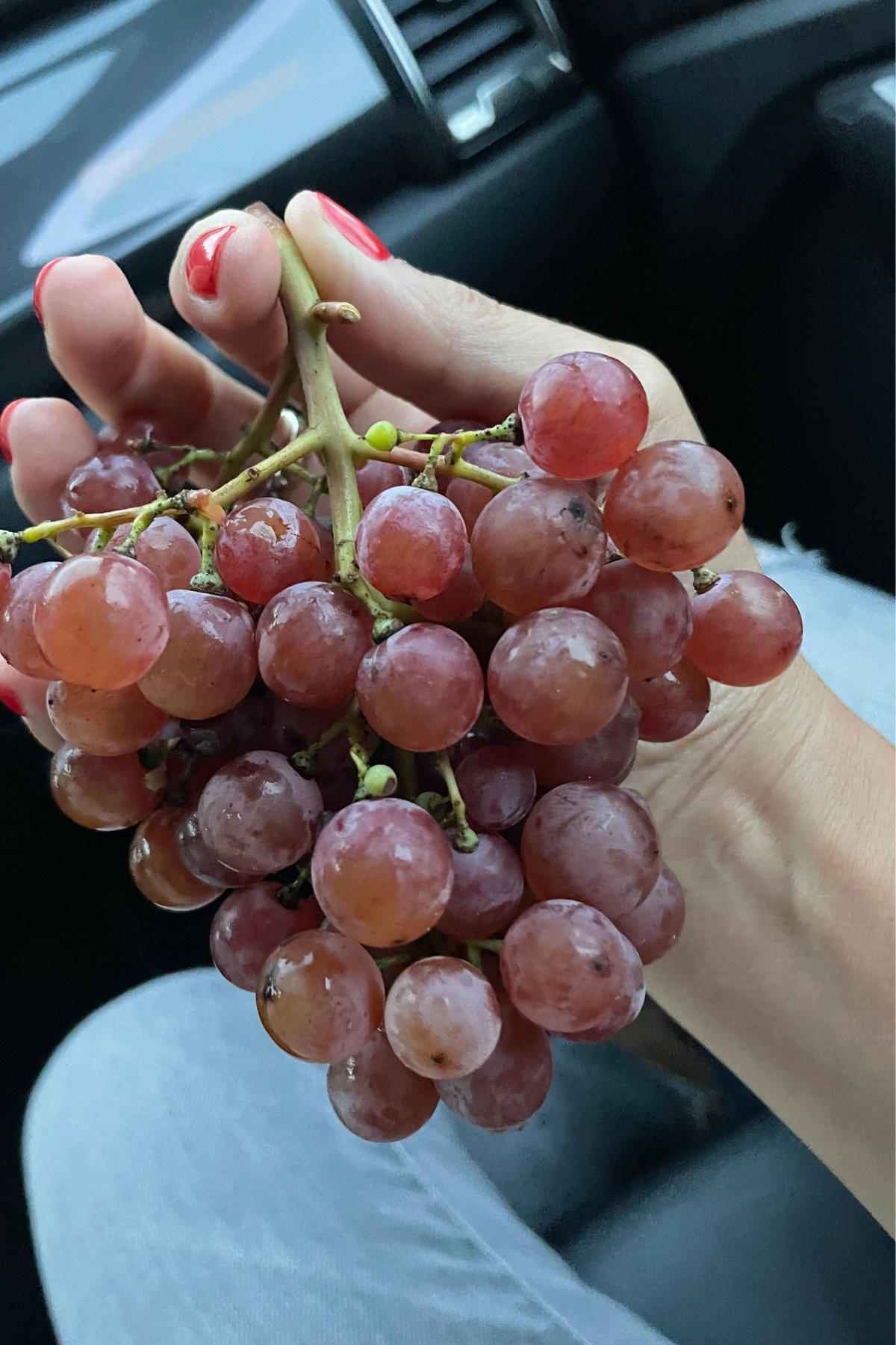 DIVINO_wine experiences_tastefully_newsletter4.png