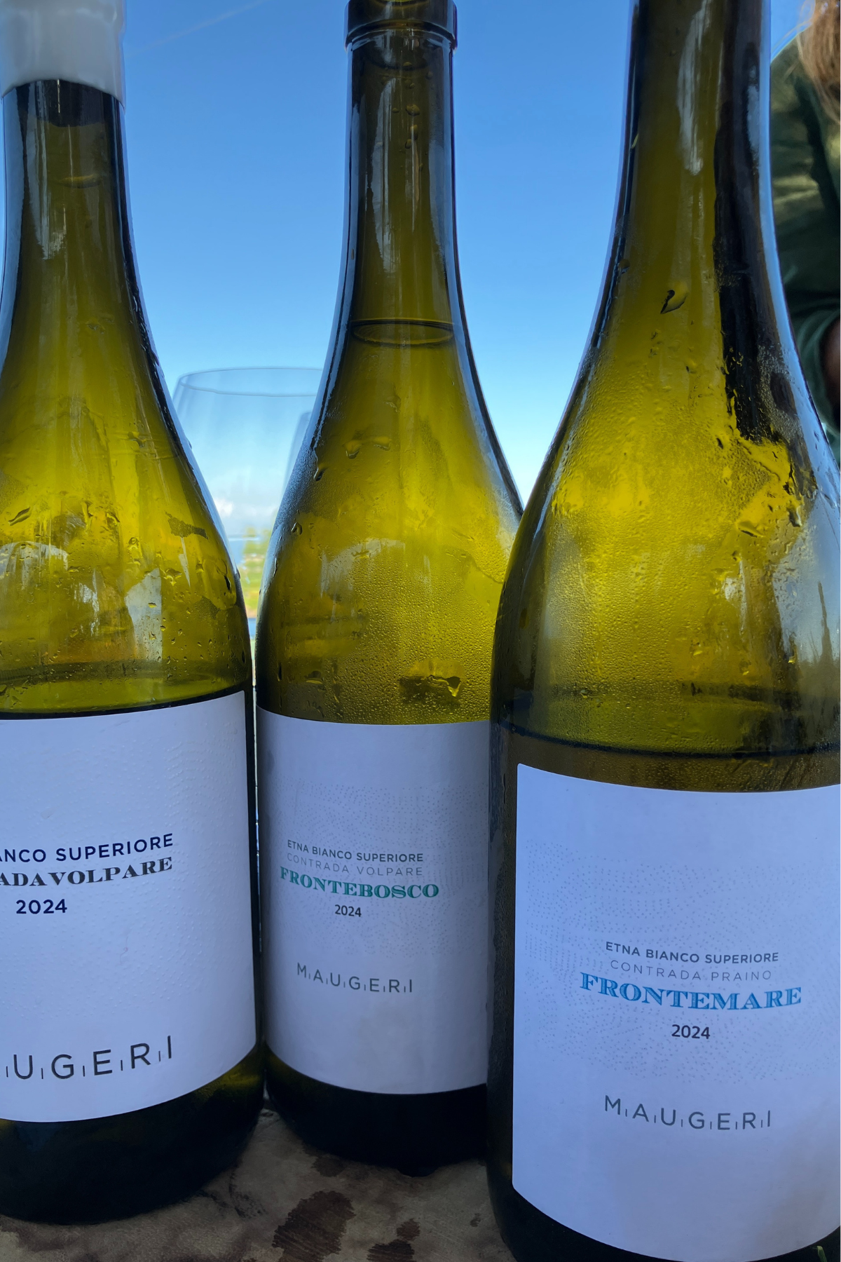 DIVINO_wine experiences_tastefully_newsletter7.png