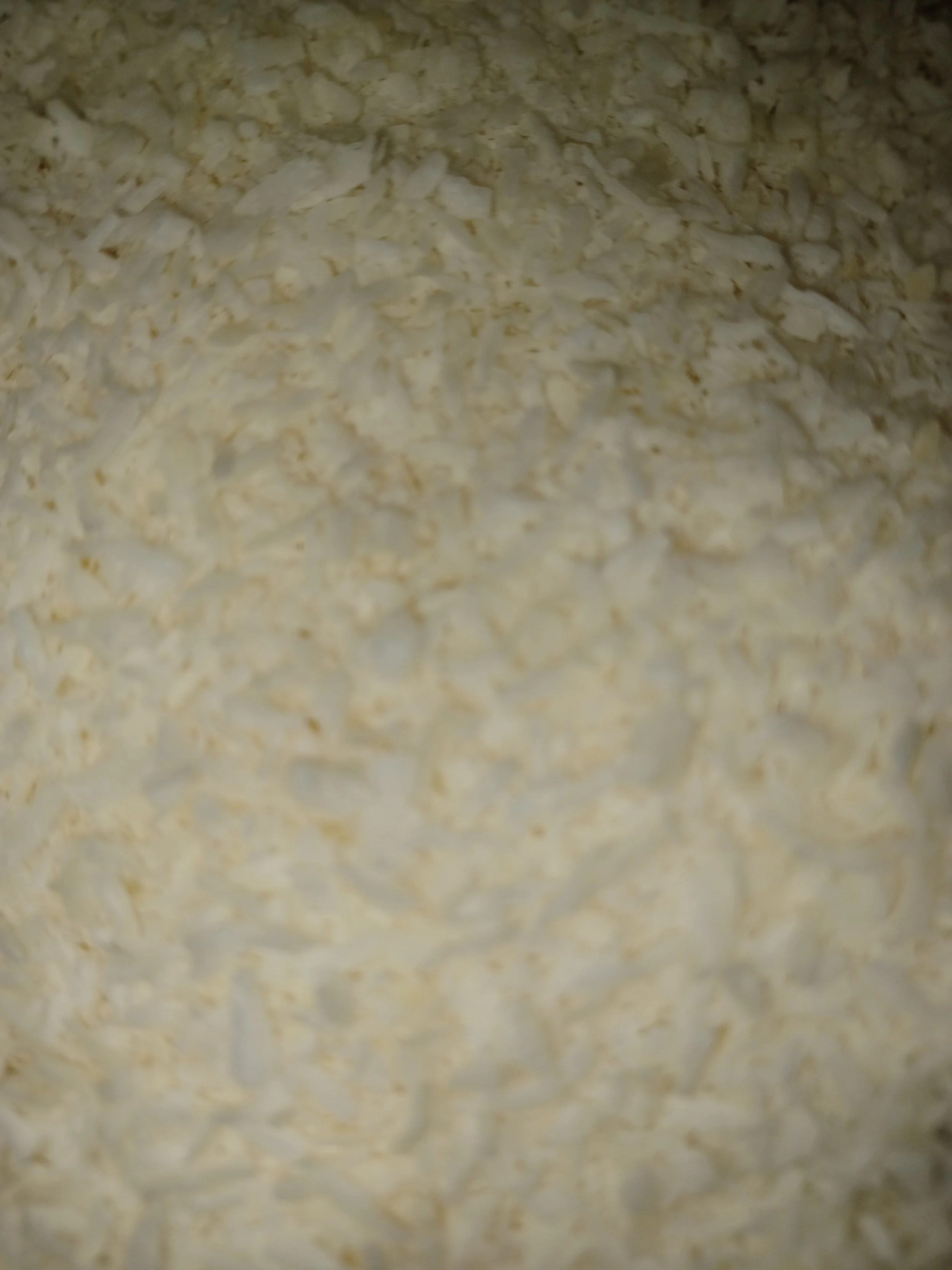Desiccated Coconut.jpg
