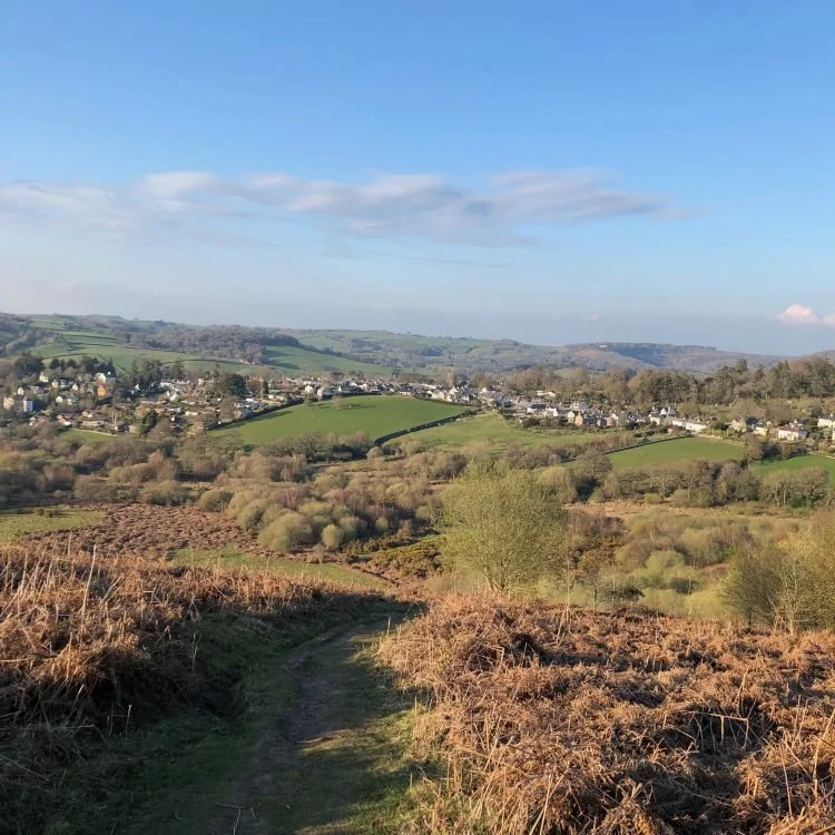 A scenic view of Dartmoor's rolling green hills, scattered trees, and a small village in the distance under a partly cloudy sky.