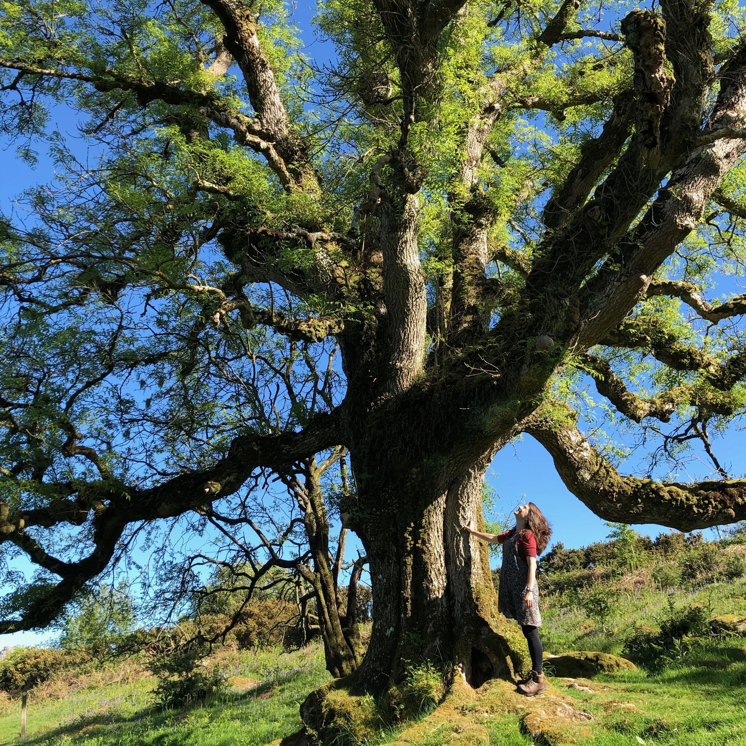 Lisa Schneidau is standing on moss-covered ground next to a large, leafy tree with thick branches and vibrant green leaves against a bright blue sky with some clouds.