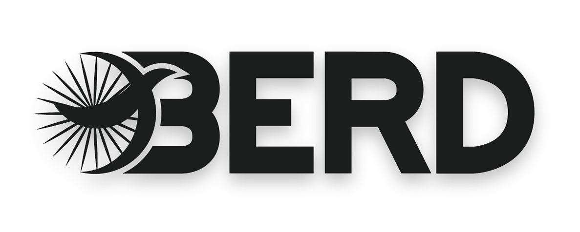 Logo with a bicycle wheel and a bird silhouette incorporated in the letter 'B' in the word 'B3ERD' in black text