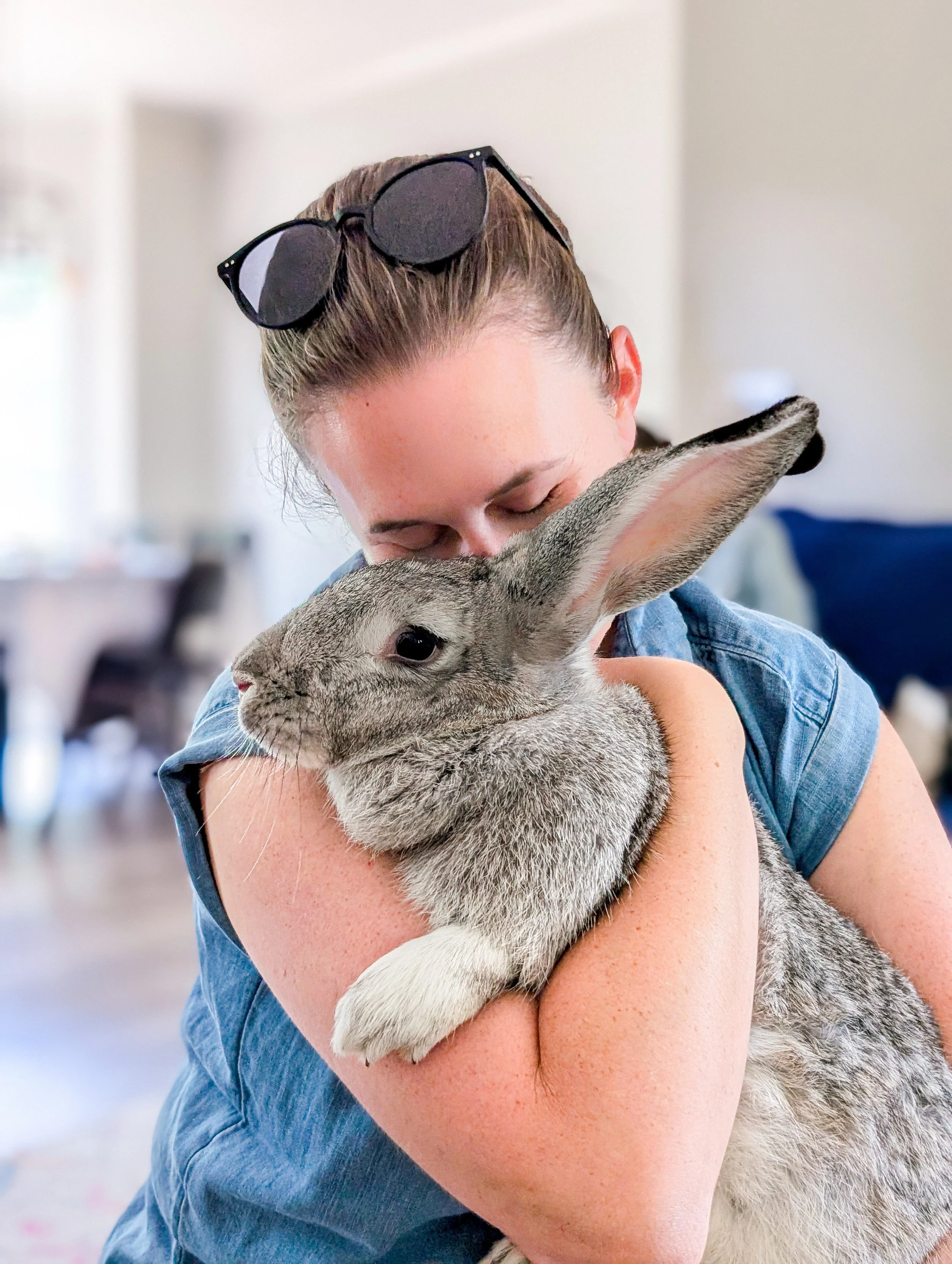 party ideas, bunny party, rabbit party, petting bunny, bunny birthday, bunny party, kids party