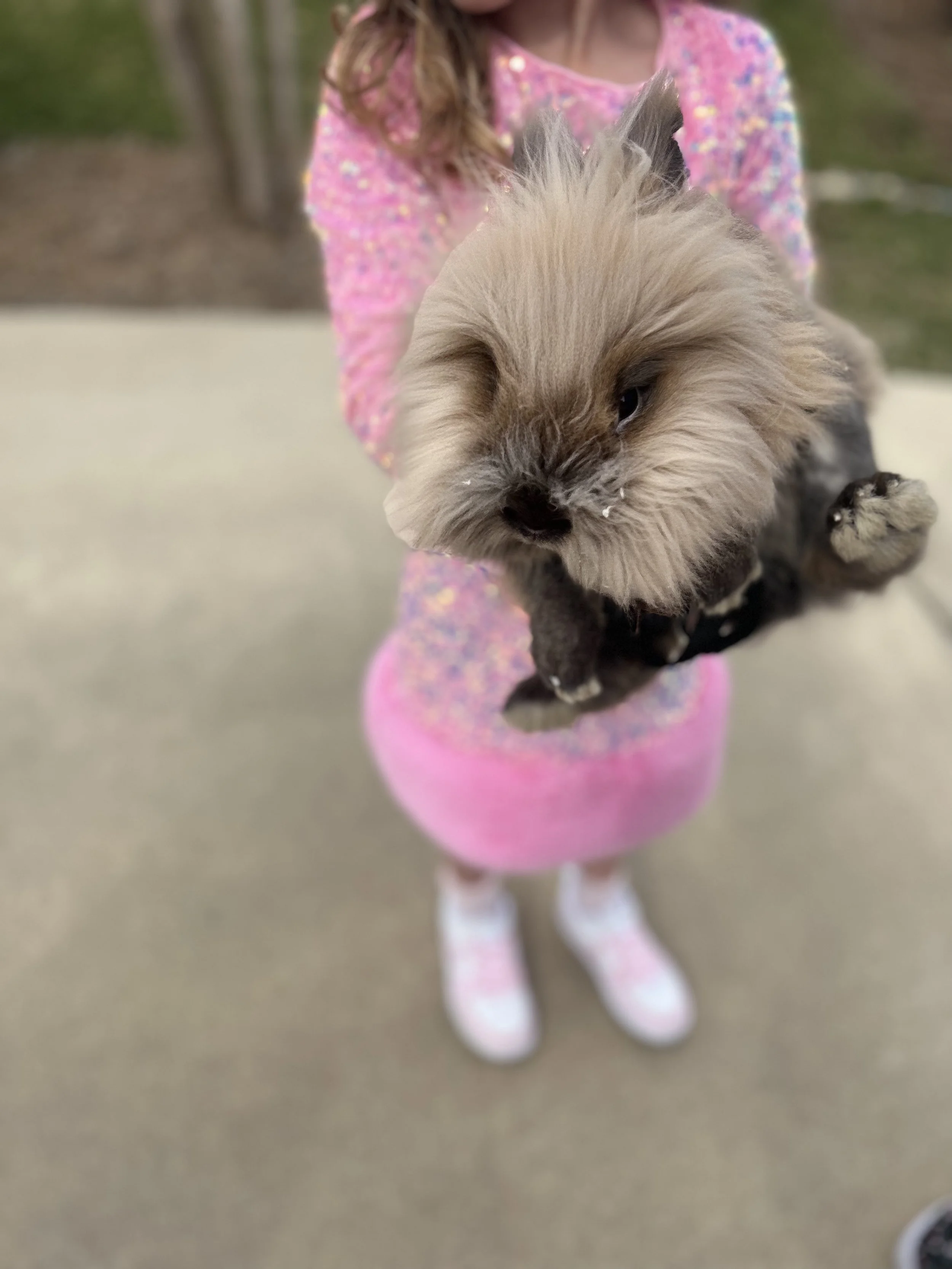 60-Minute Bunny Party