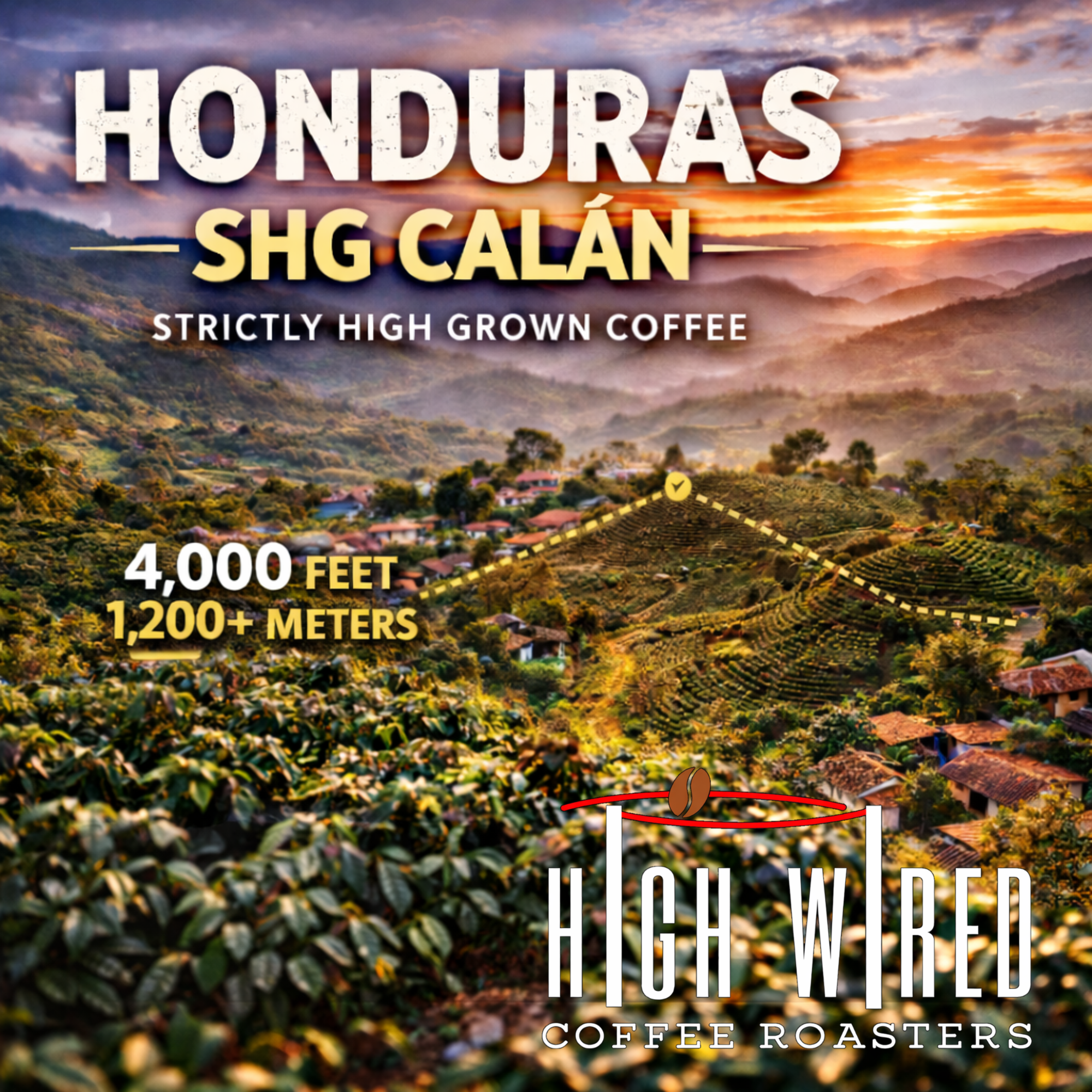 Untitled deeesign.png