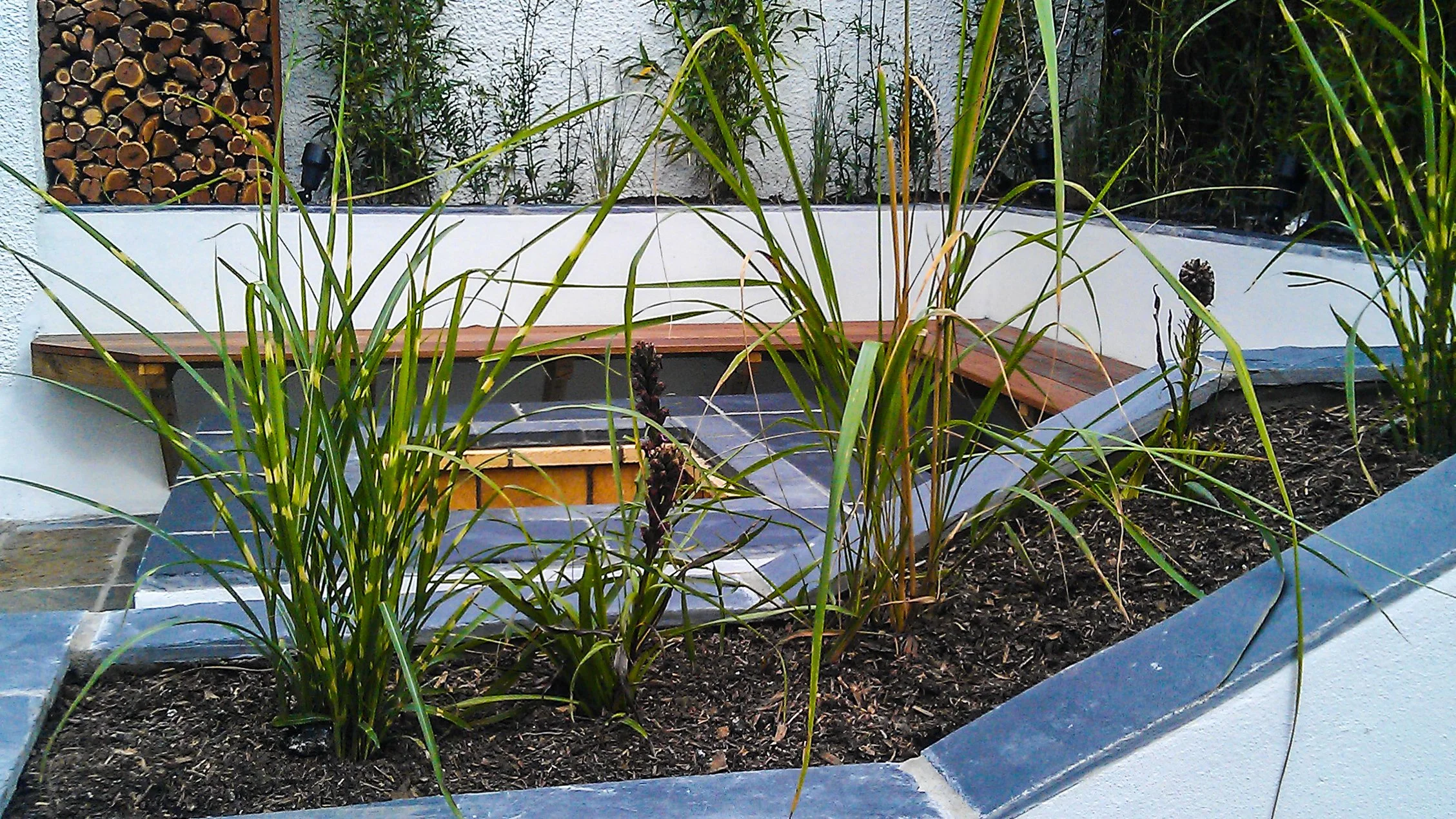 An image of the Fire Garden.  built in bench and planting in raised beds