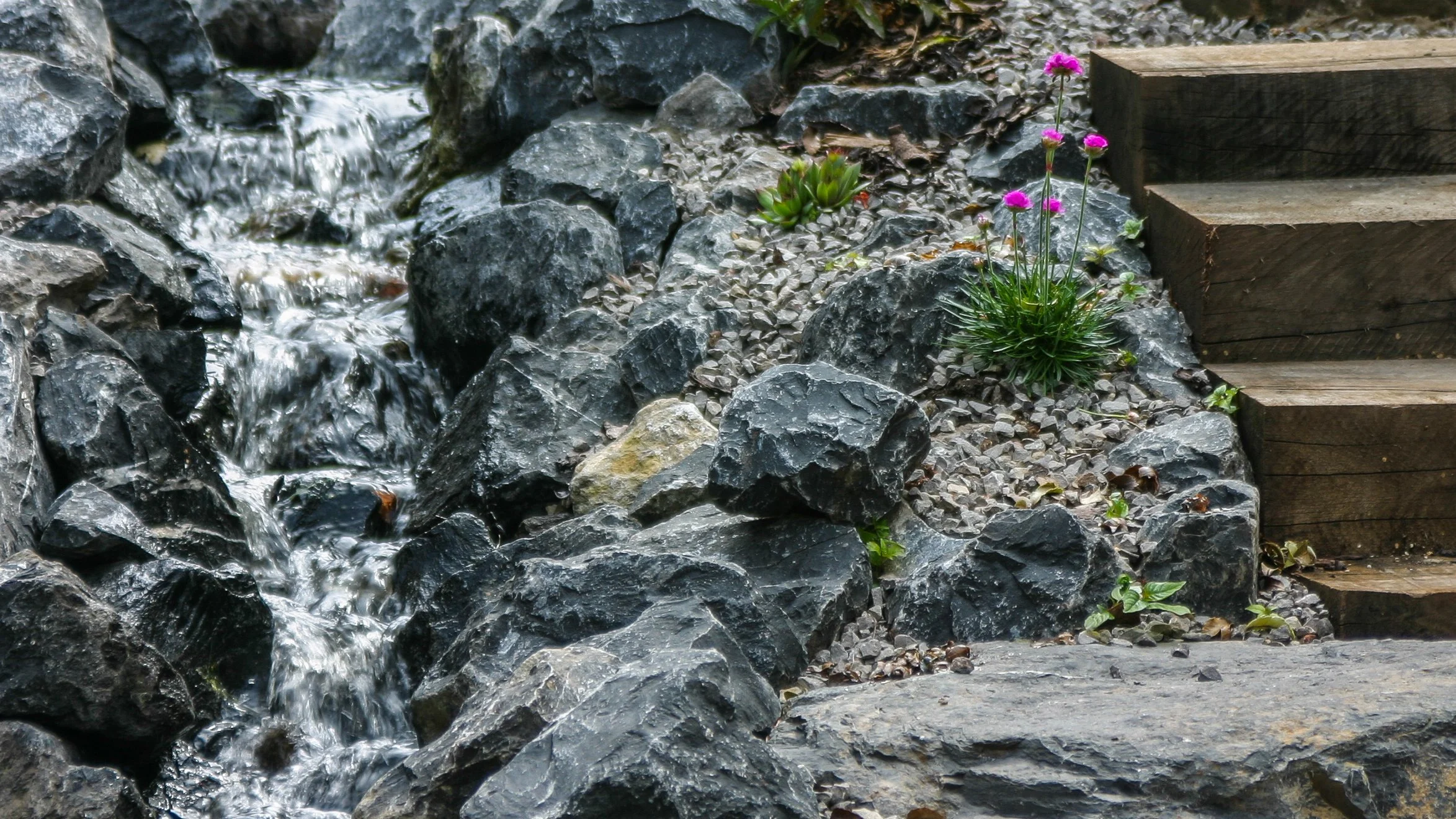 Stream and rockery and sleeper steps