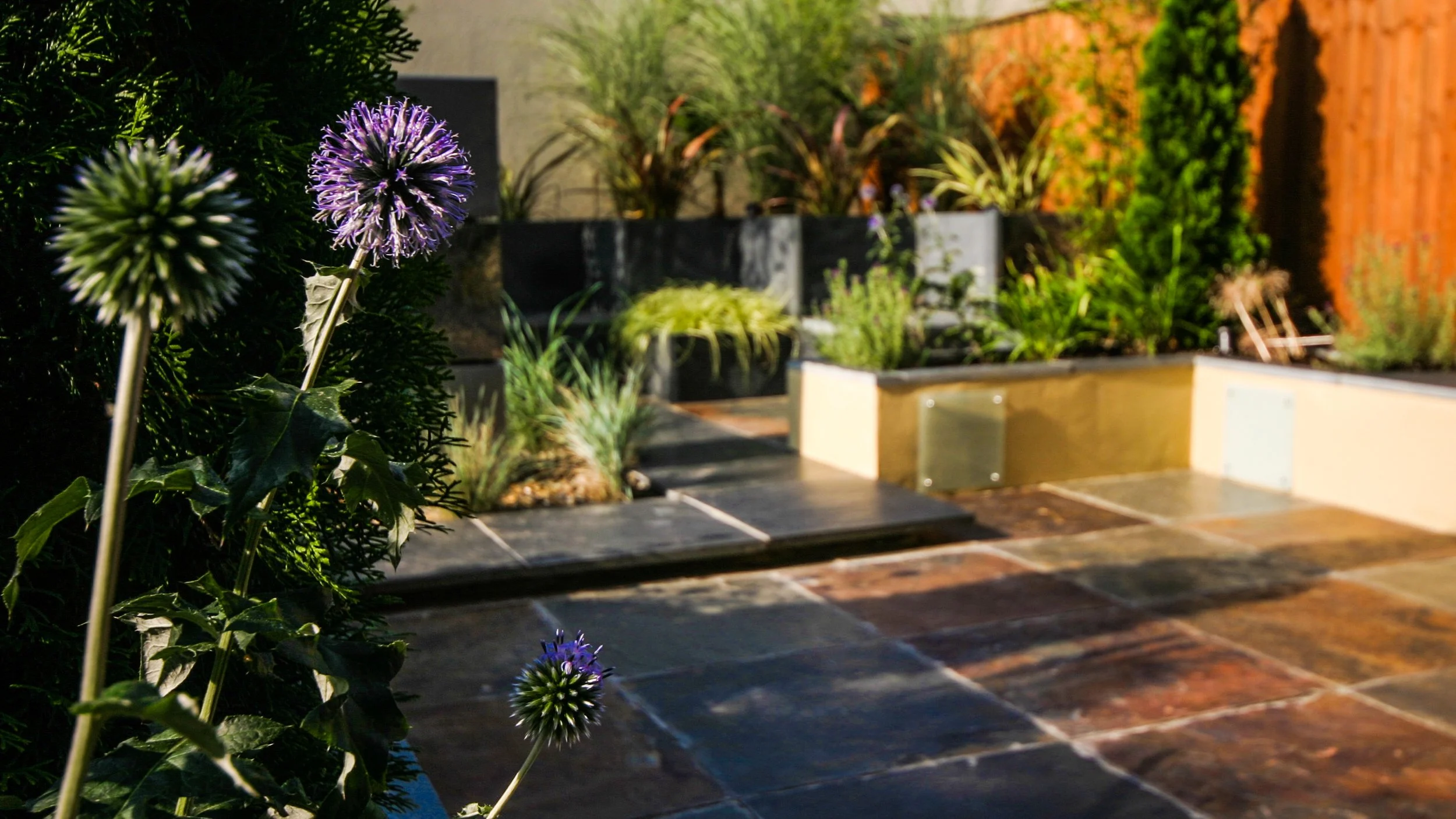 Modern garden with slate paving, low maintenance planting and blue flowers in the foreground