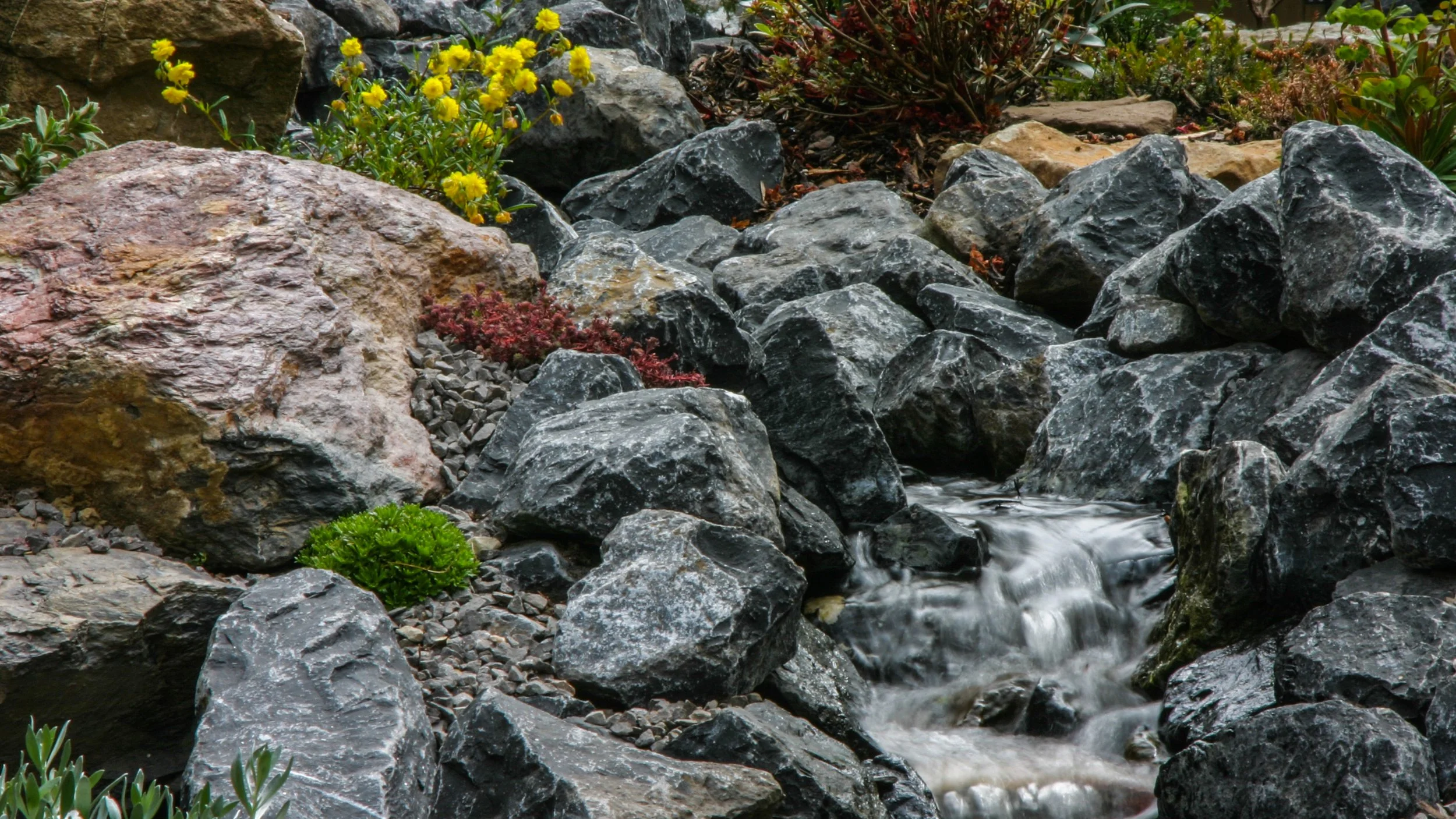 Stream and rockery with plants