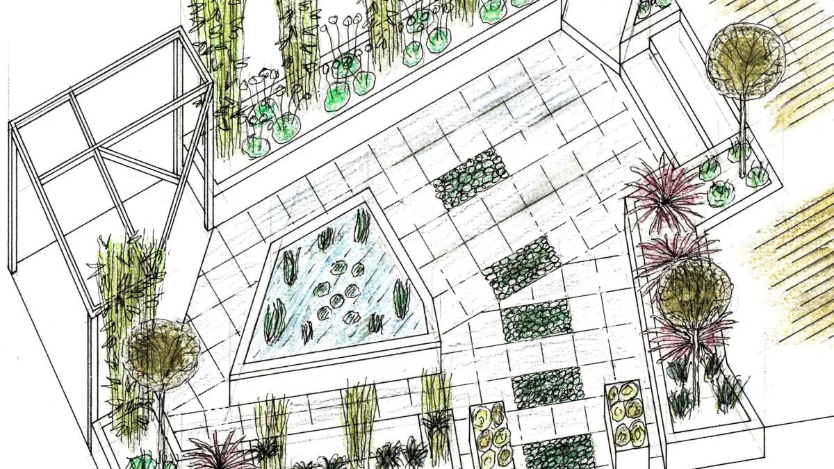 Architectural drawing of a backyard garden with trees, plants, a pond, and paved walkways.