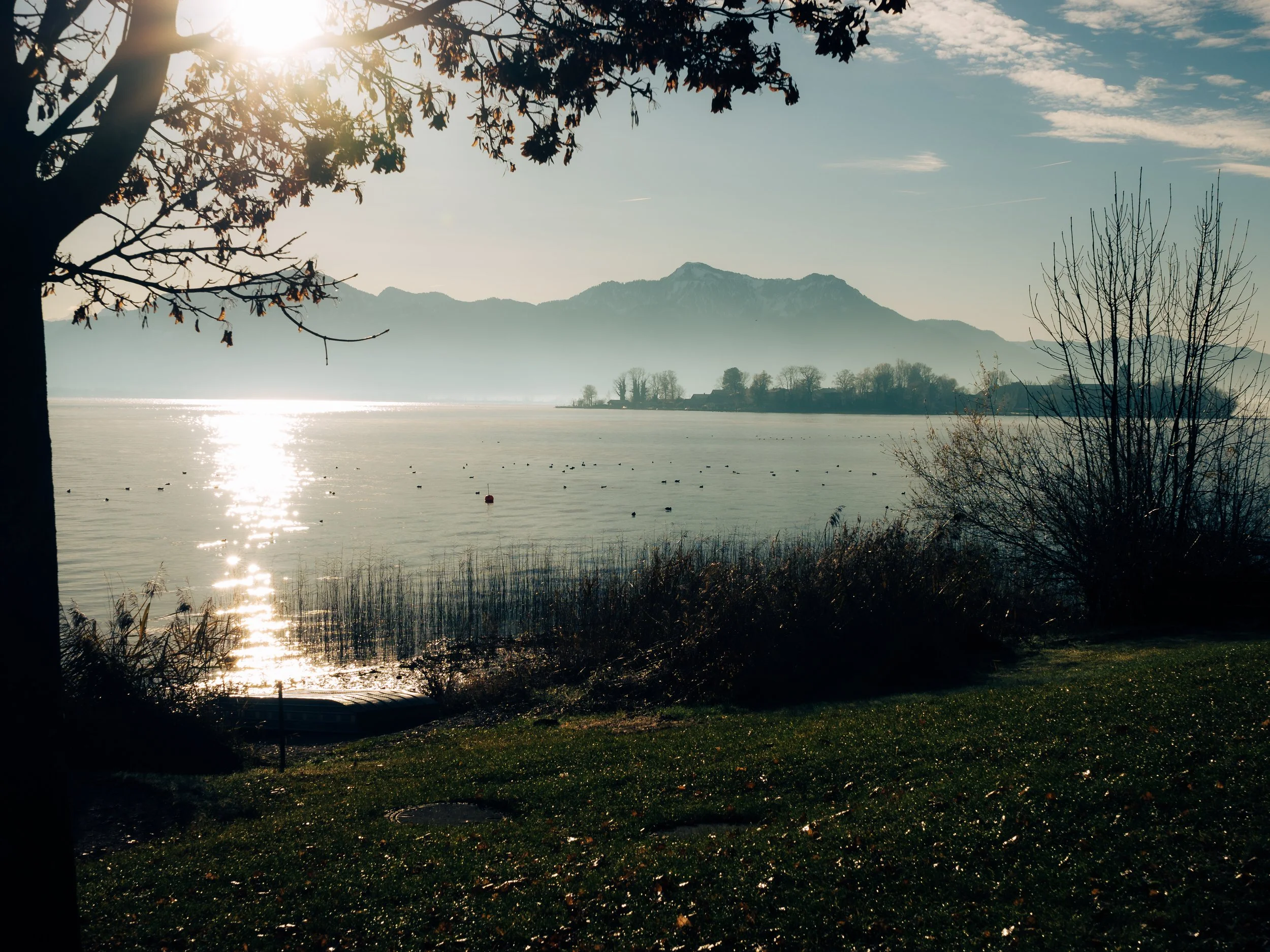 Blick auf einen See mit Bergen im Hintergrund bei Sonnenaufgang, Bäume und Büsche im Vordergrund, spiegelndes Wasser mit Sonnenreflexionen.