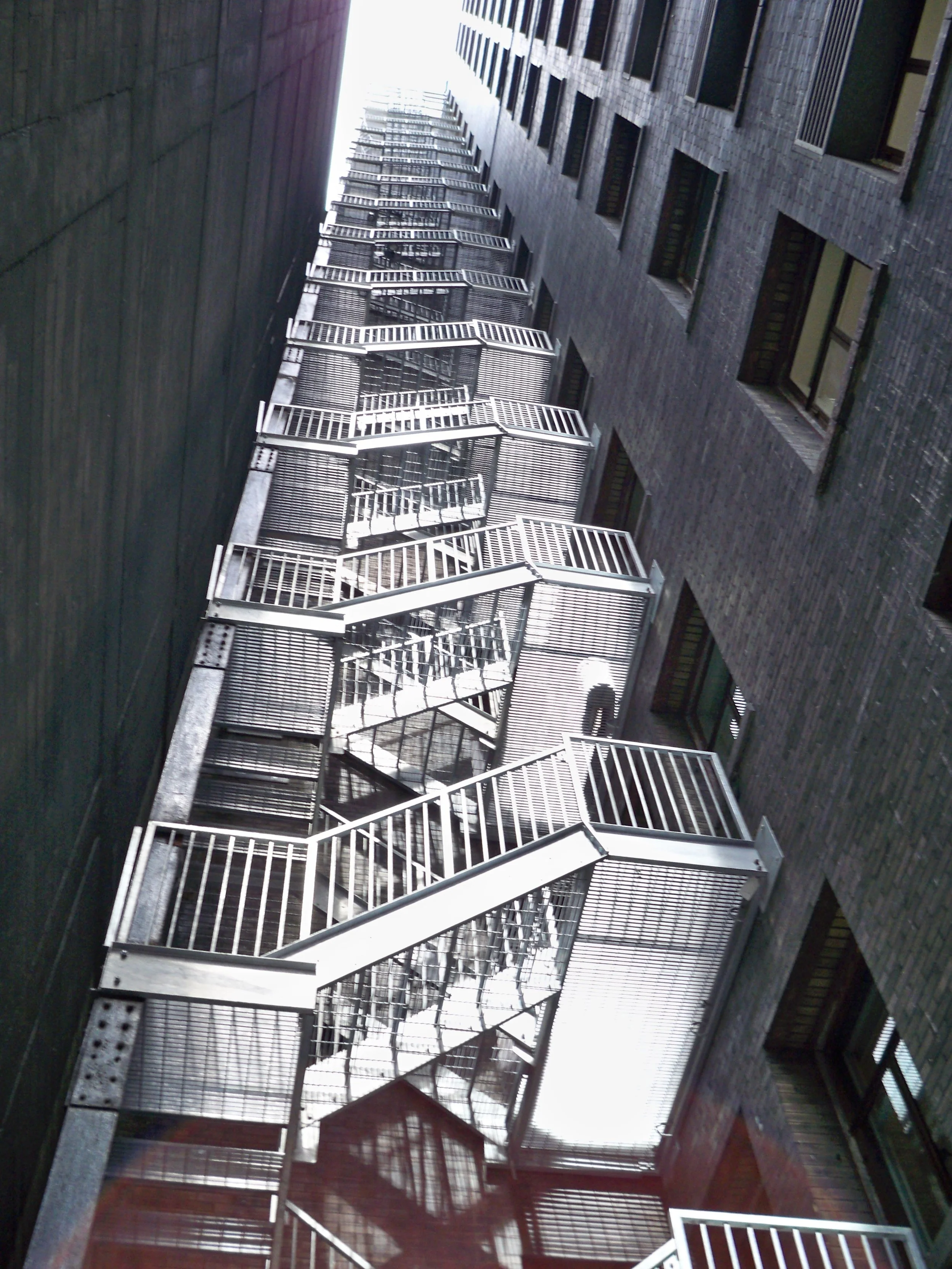 Cooper North Service Road Oakville  5th Floor Paritions 015.jpg