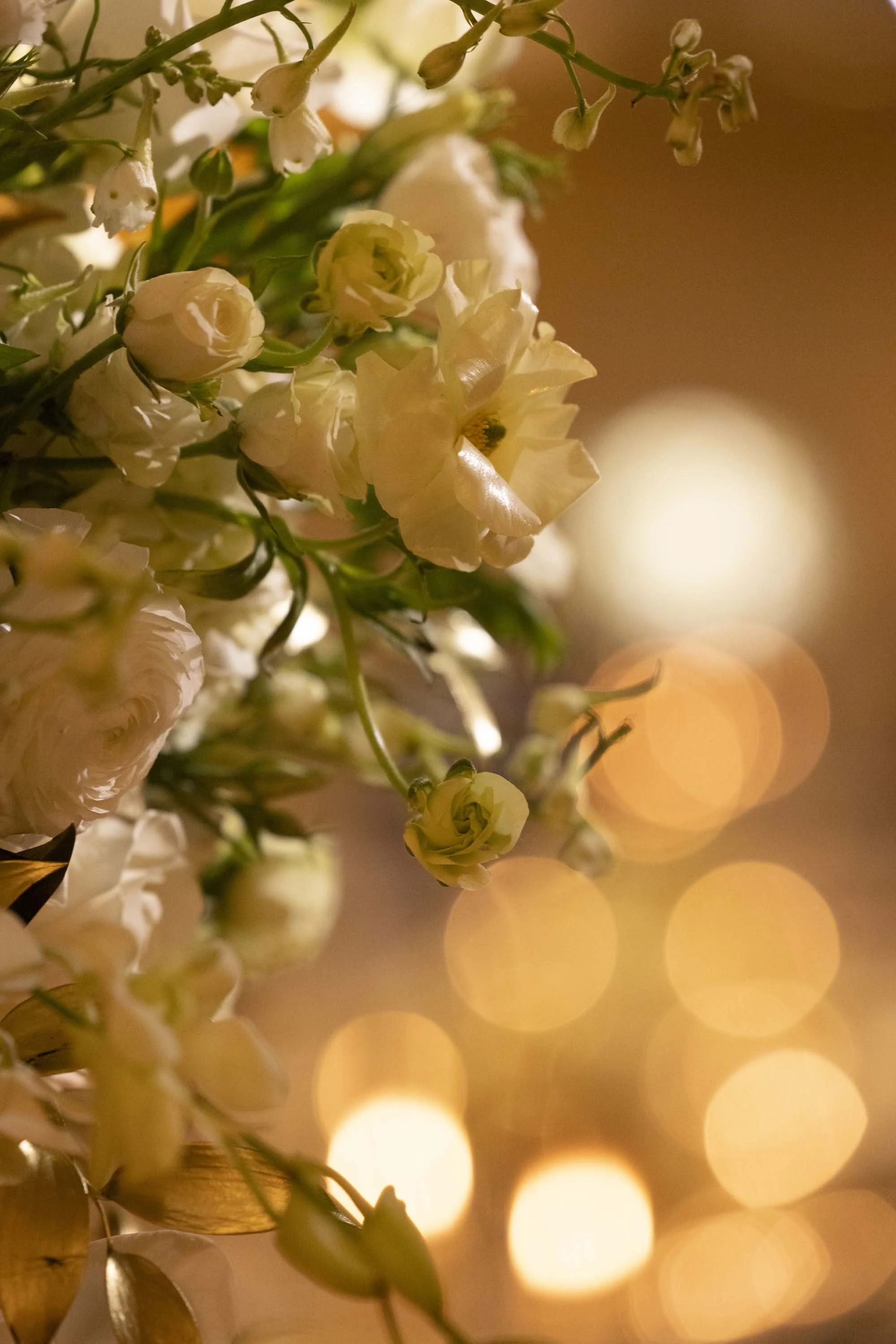 Curated Events Pacific Chorale Gala Party 0.jpg