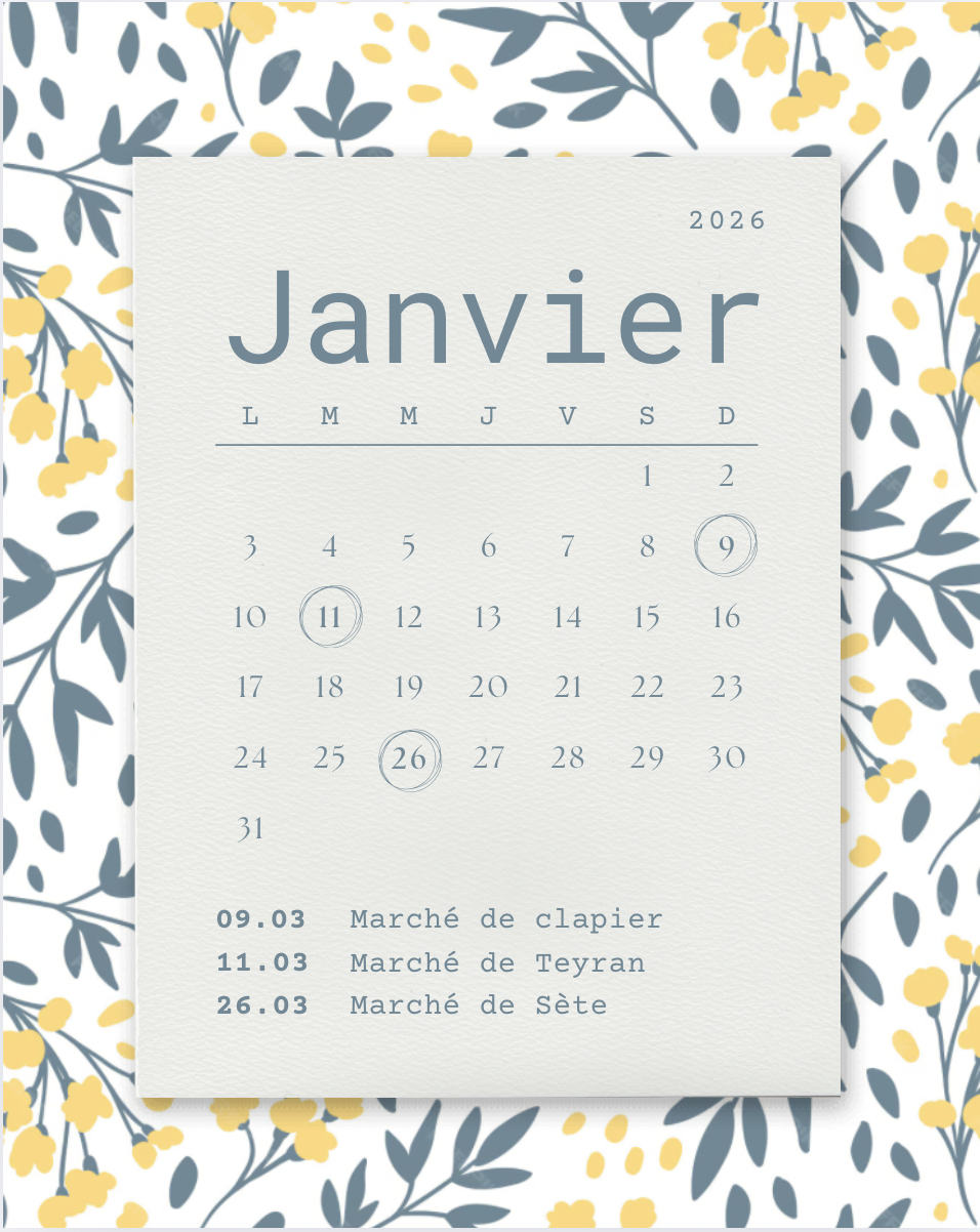 Capture d’écran 2025-12-01 à 17.26.43.png